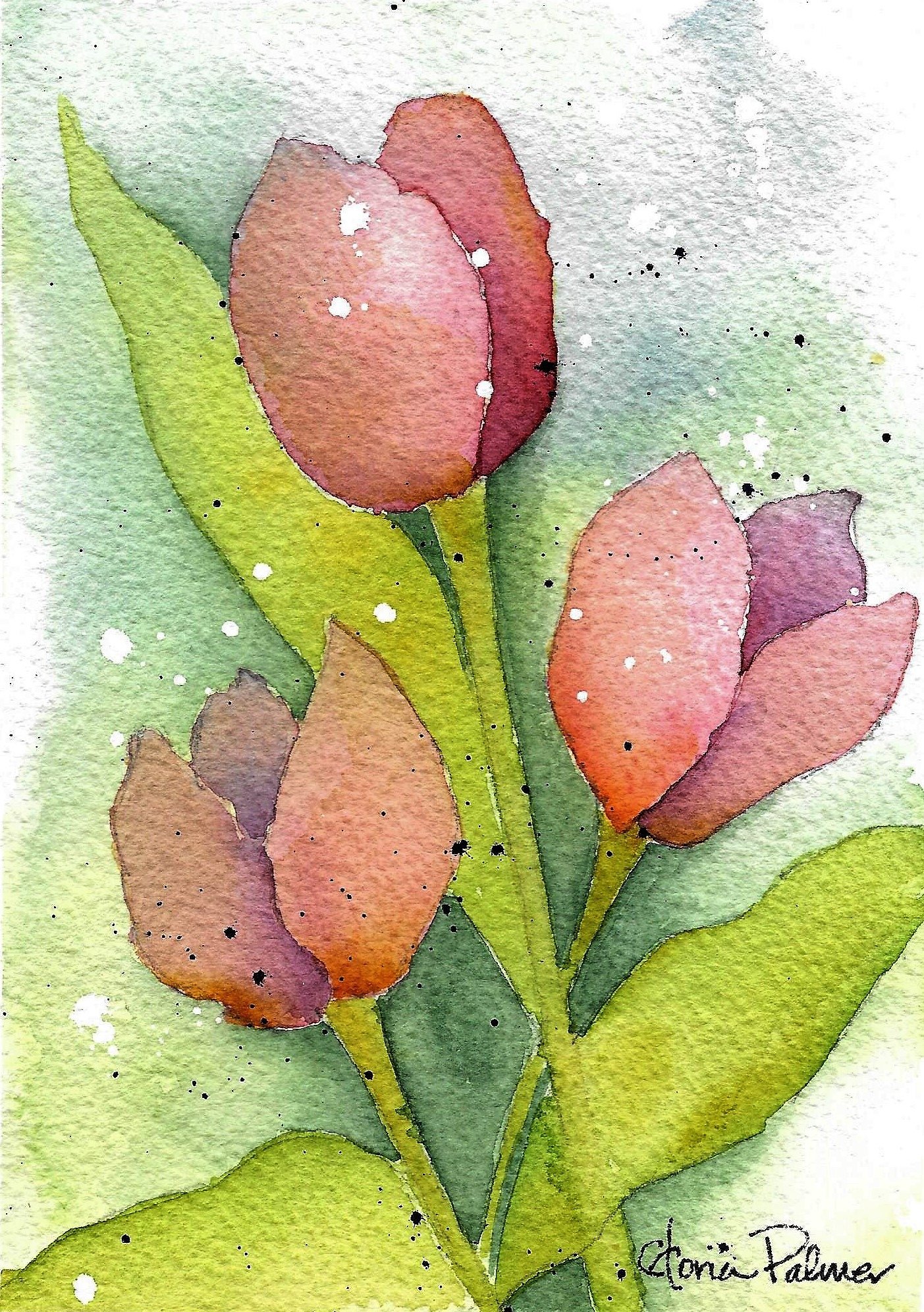 Tulips