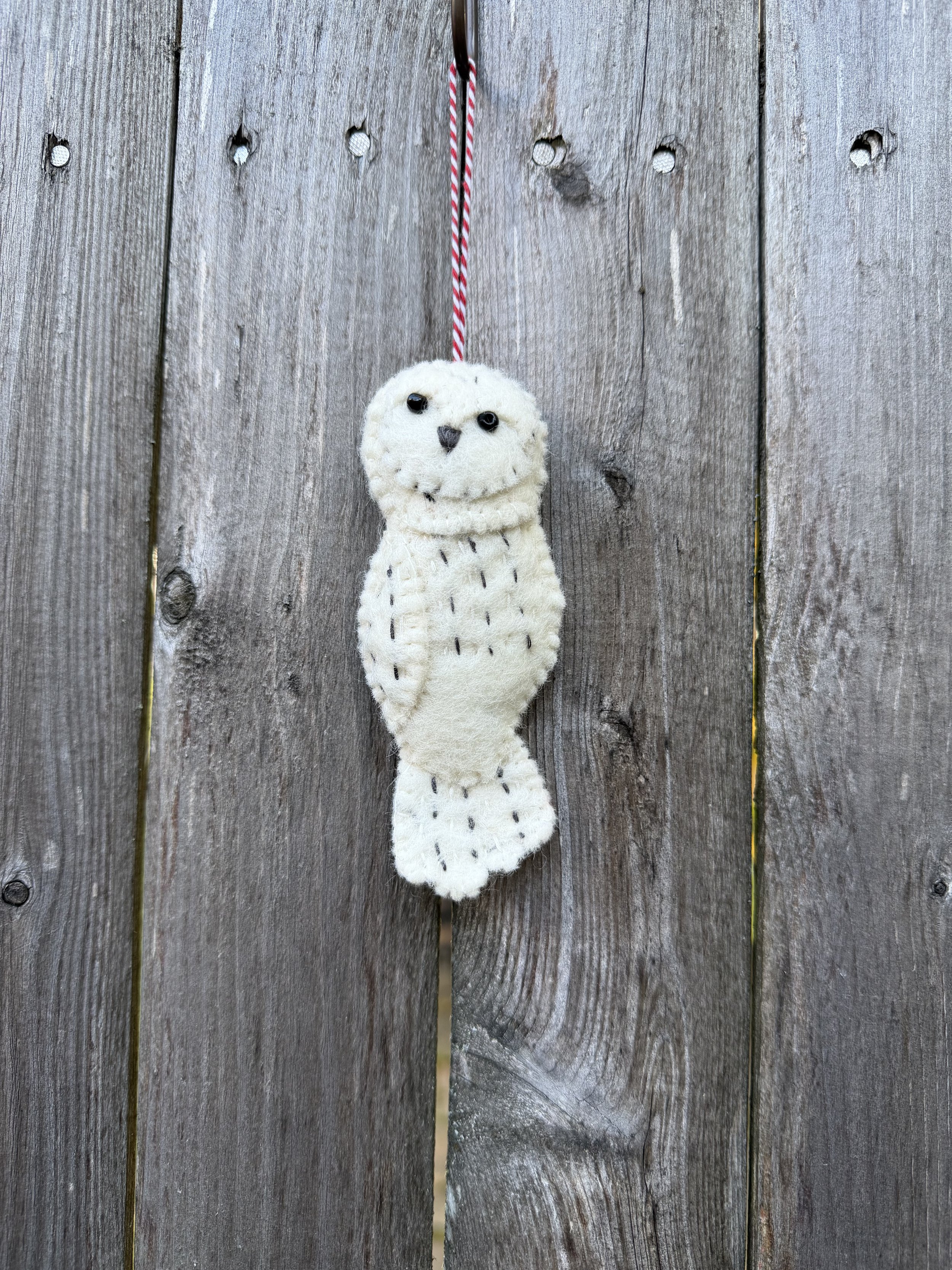 snowy owl .jpeg