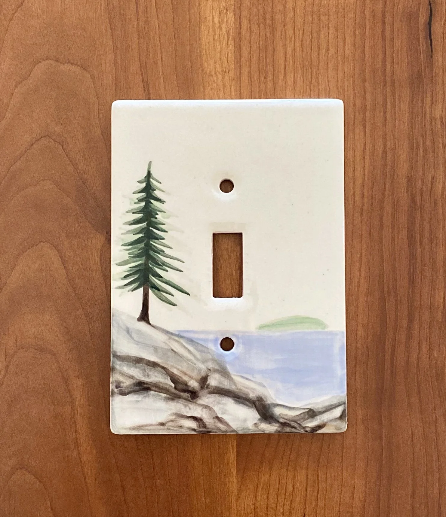 color+single+switch.jpeg