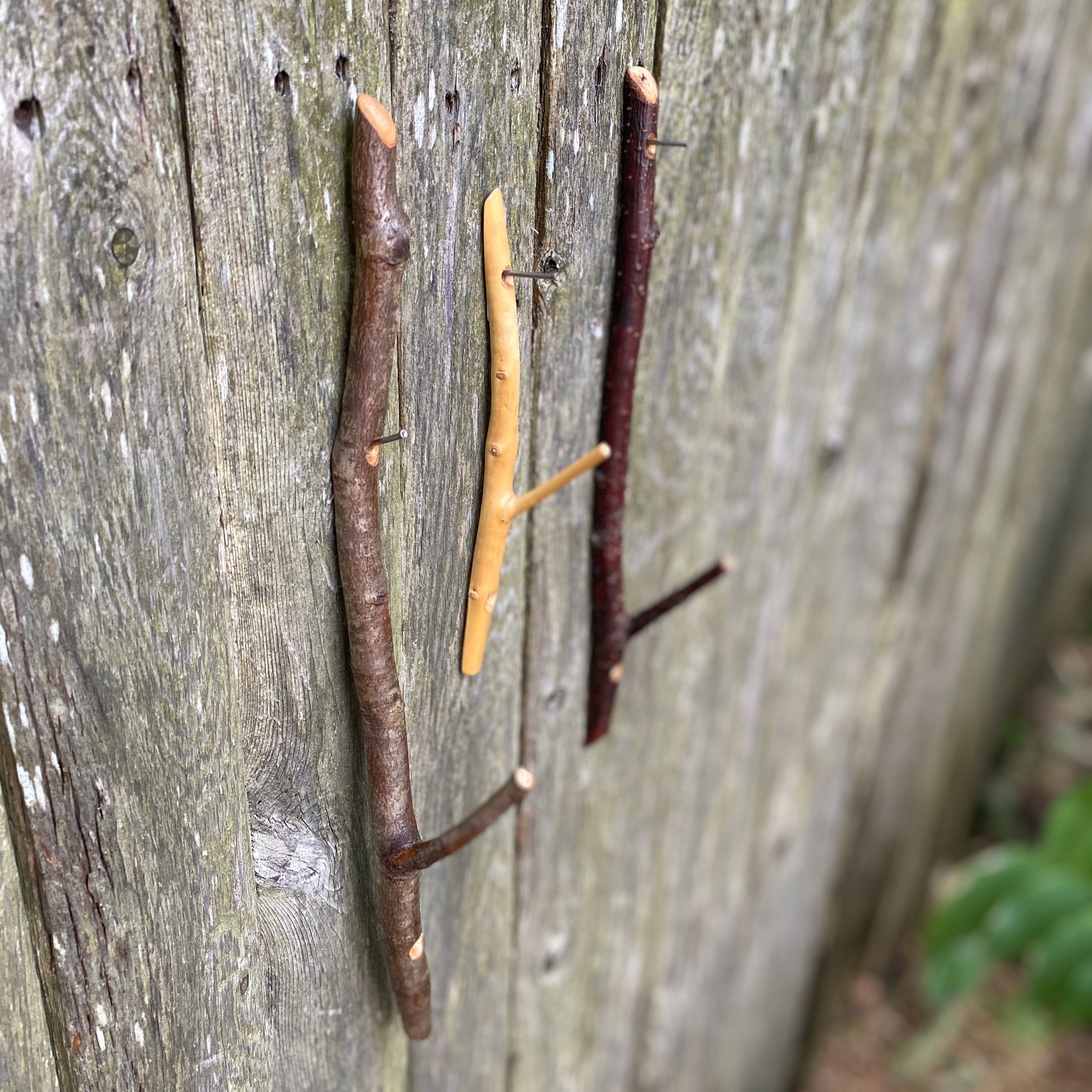 Blue Whale Tail Hook — Window Panes MDI