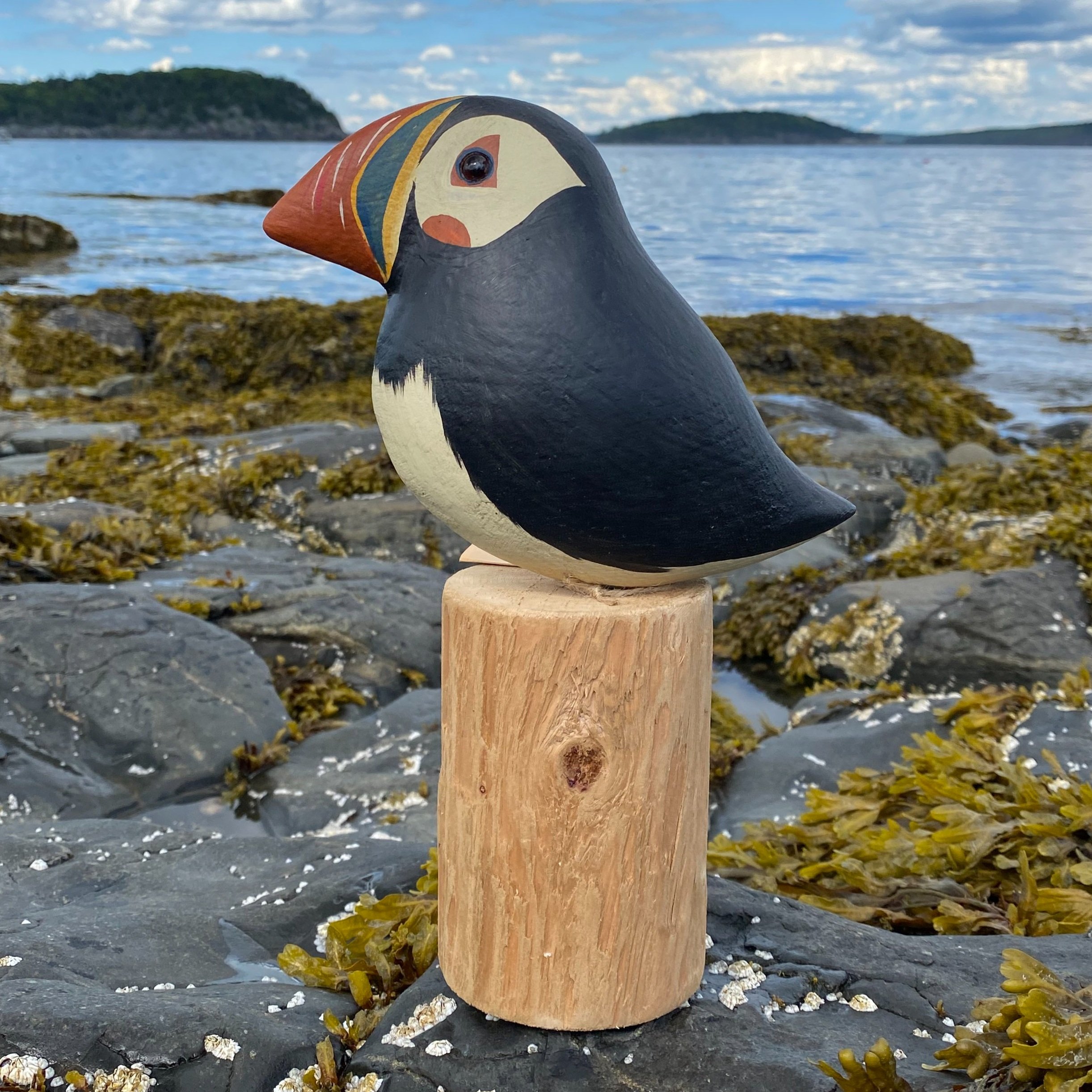 Wood Puffin Decoy