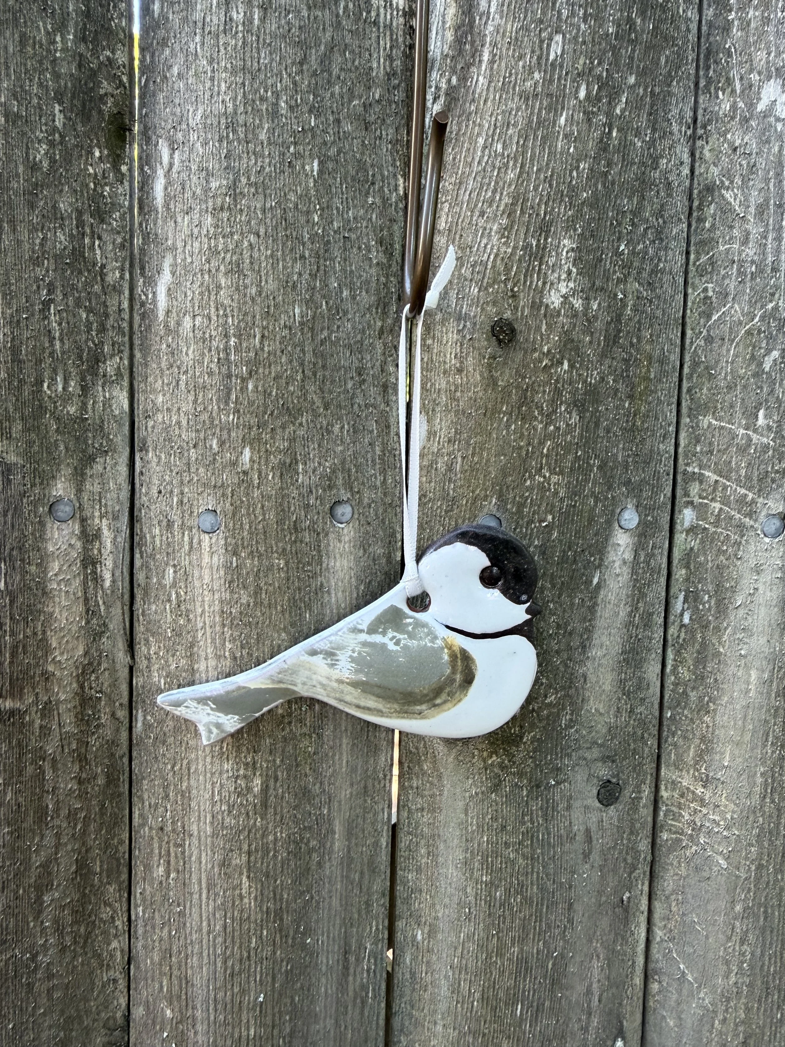 chickadee .jpeg