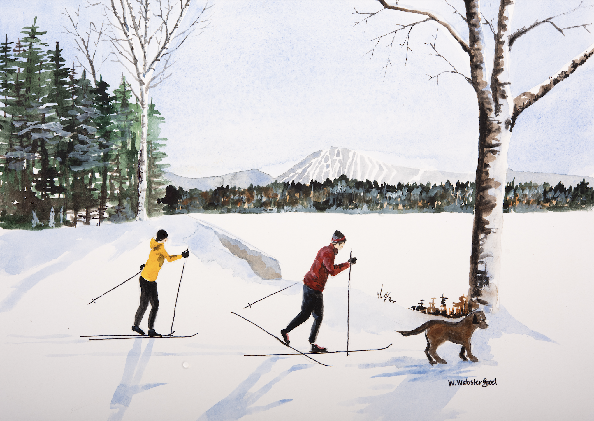 Ski Buddy.png