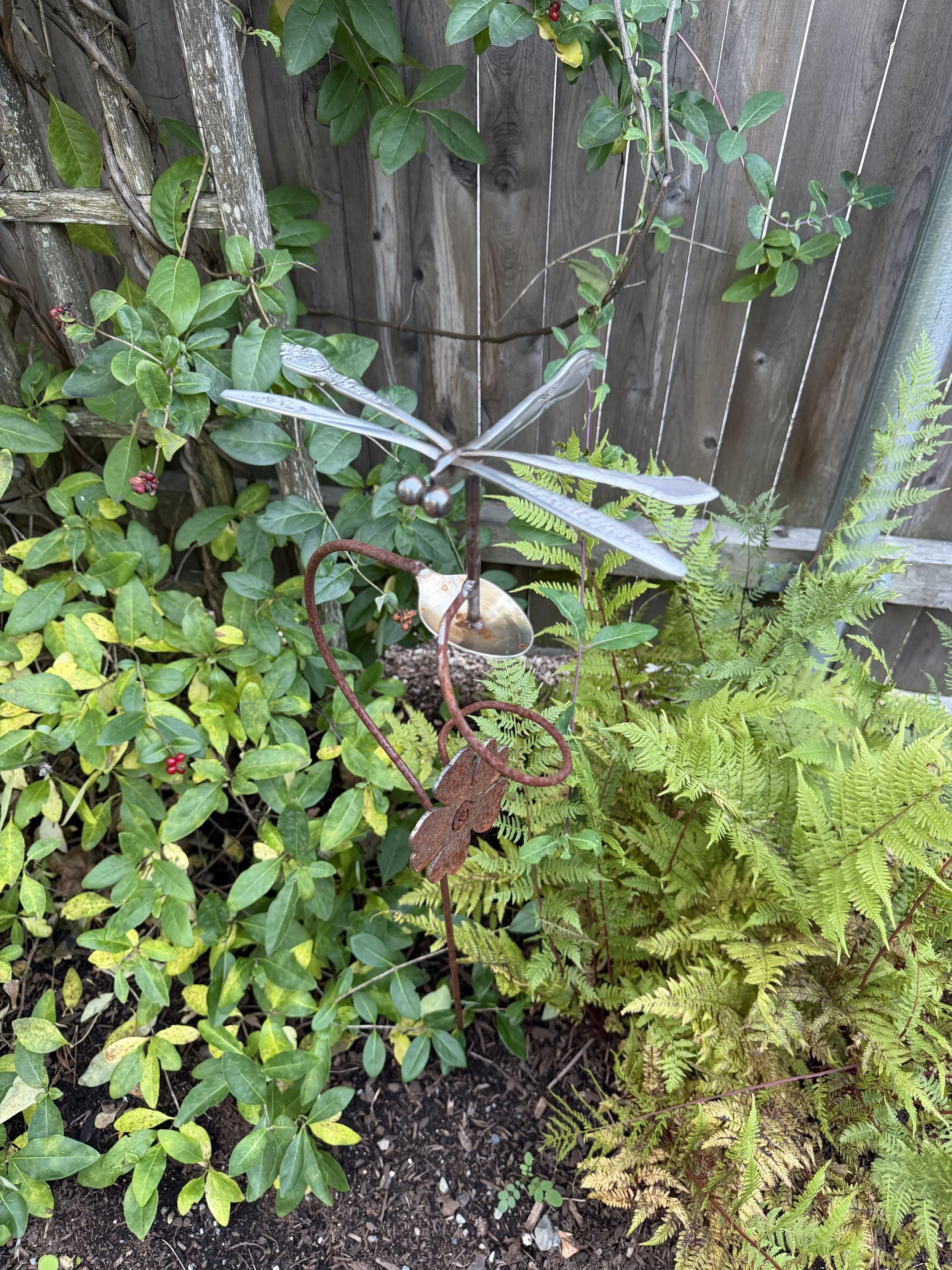 Dragonfly .jpeg