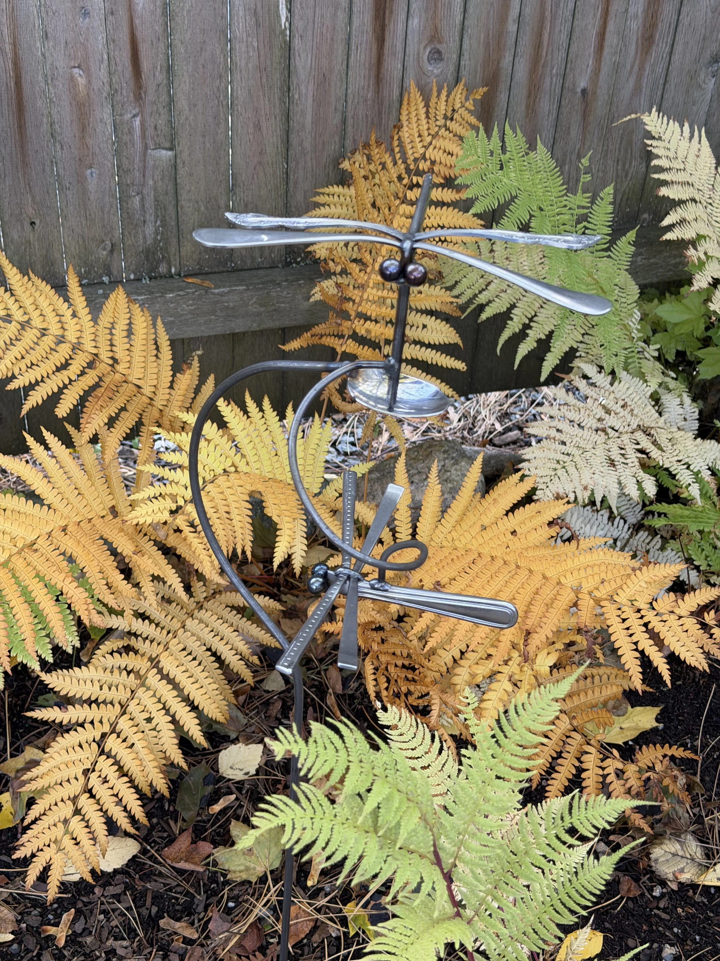 double dragonfly .jpeg