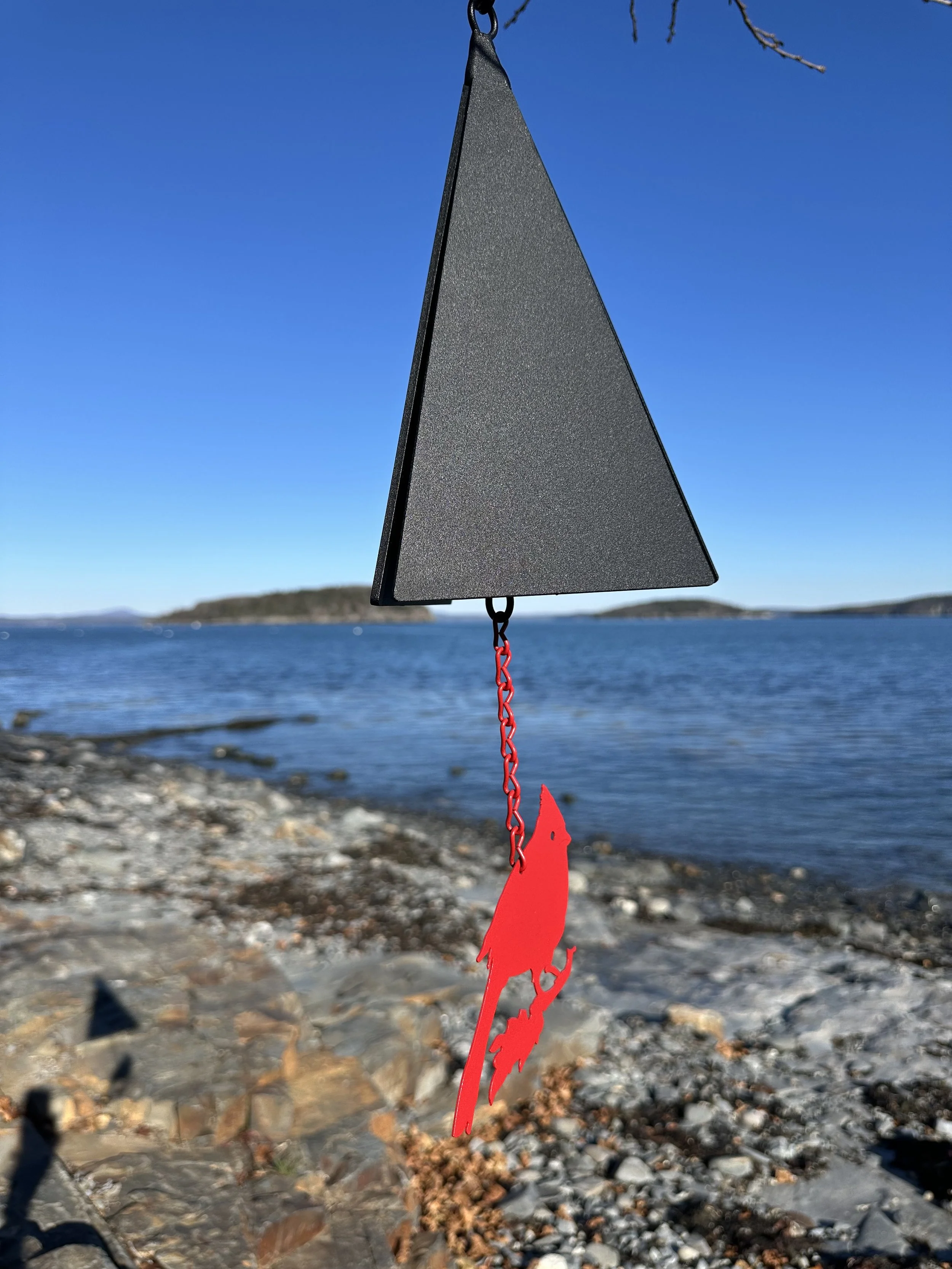 Boothbay Cardinal.jpeg
