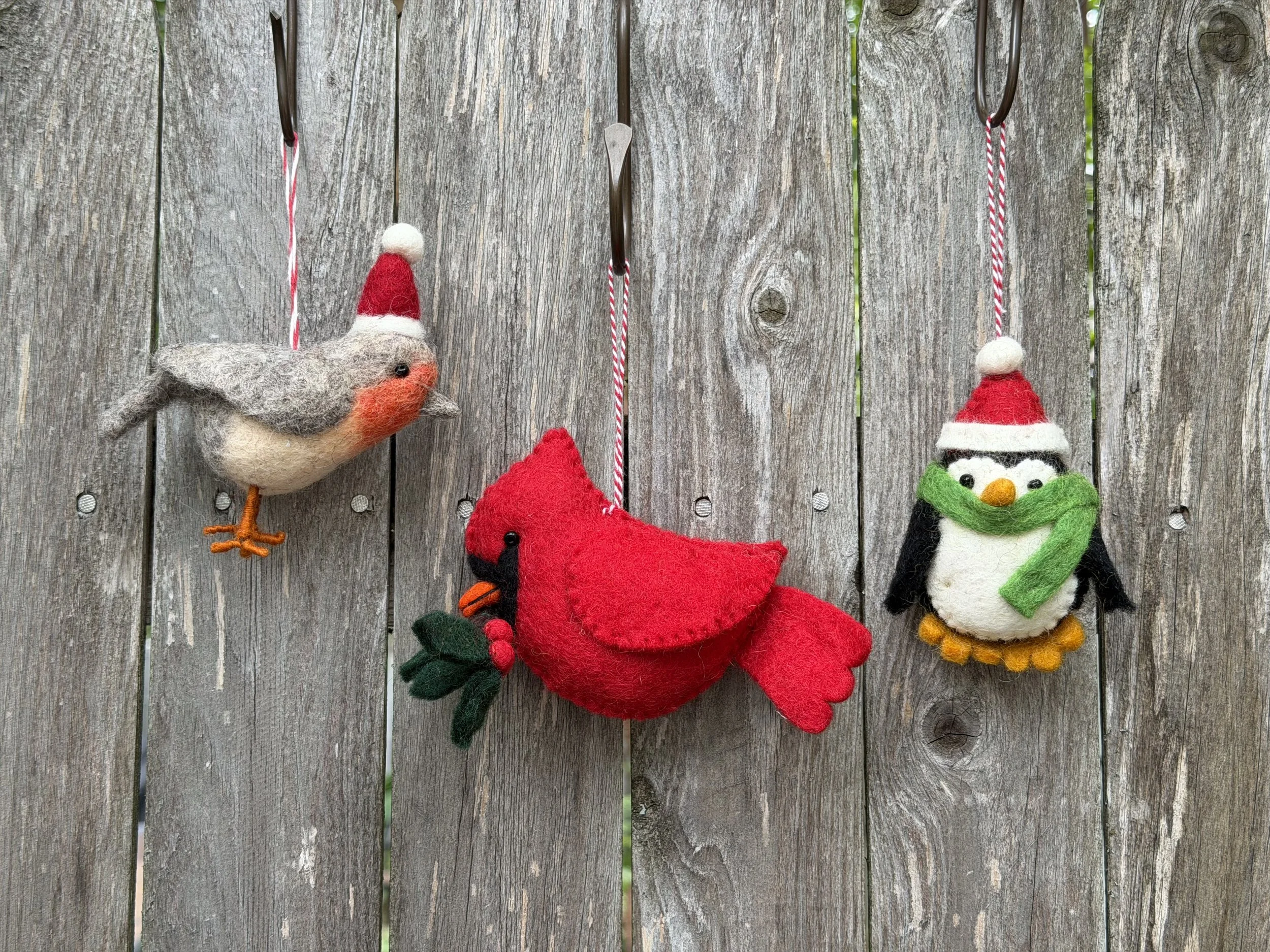 bird group.jpeg