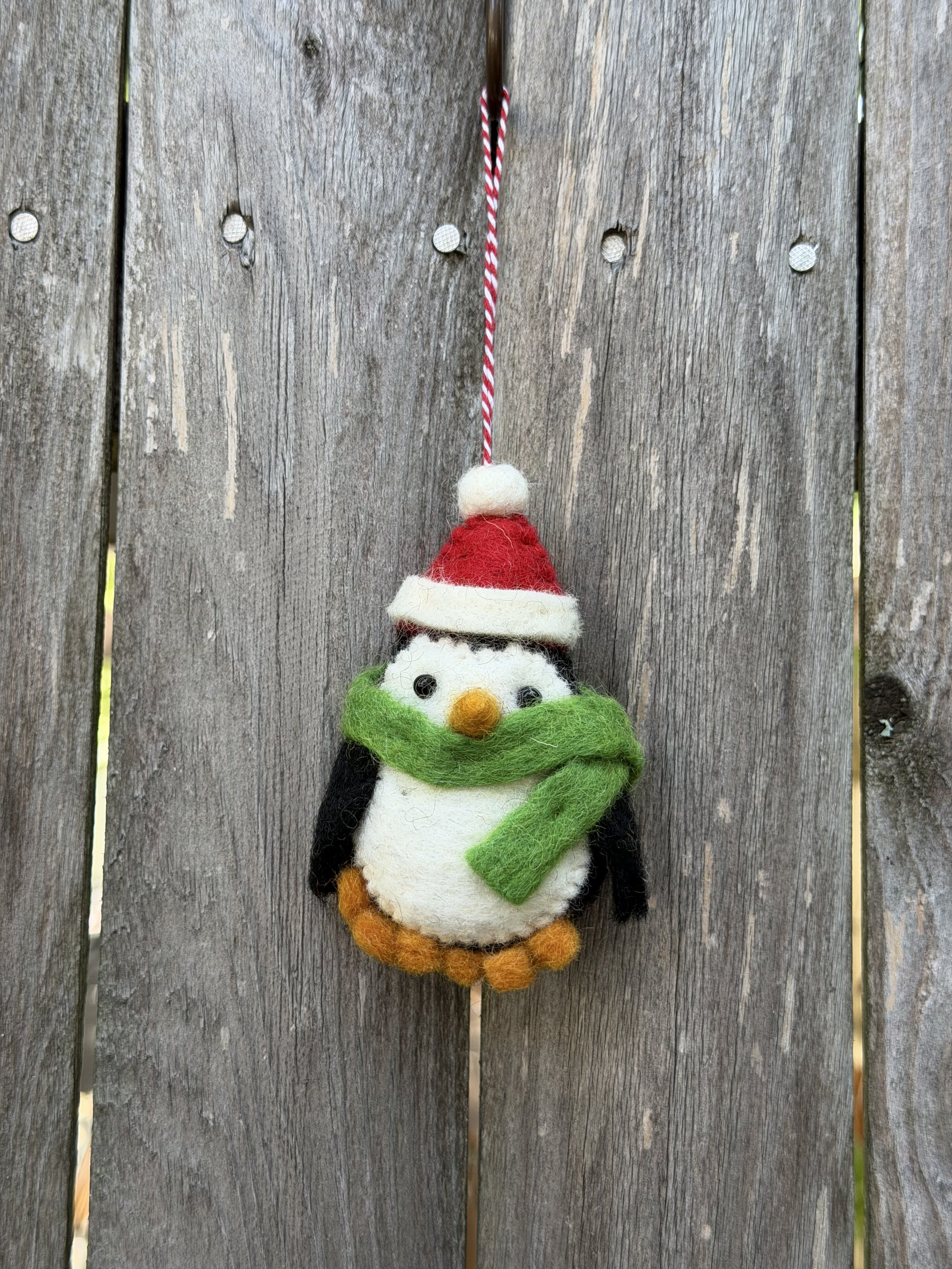 penguin w red hat.jpeg