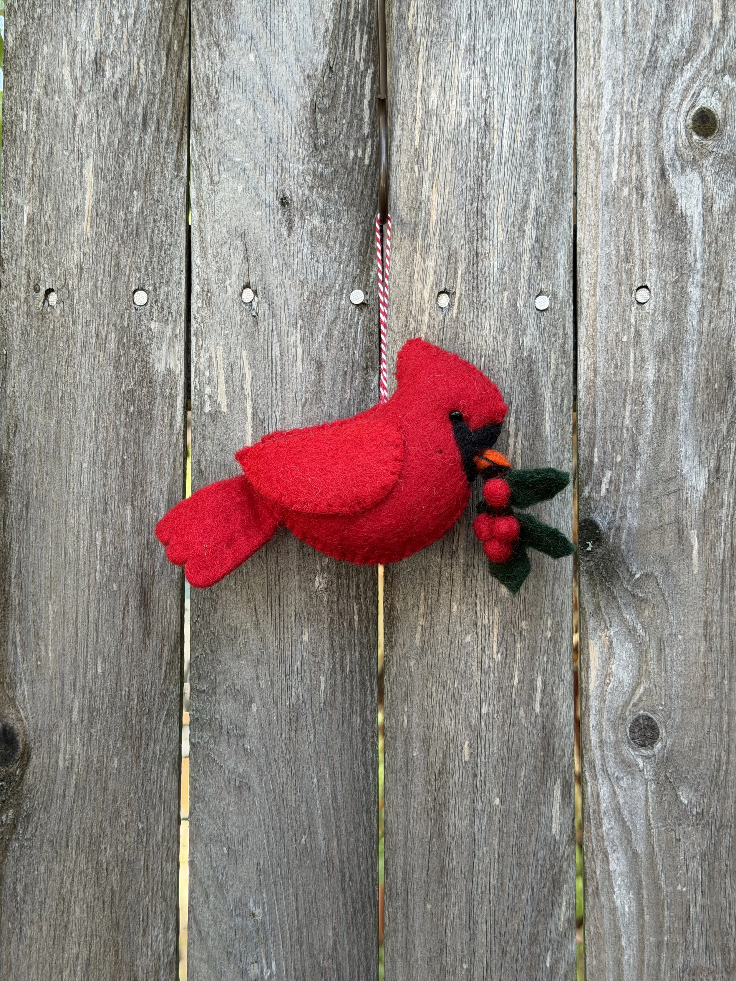 cardinal w holly.jpeg