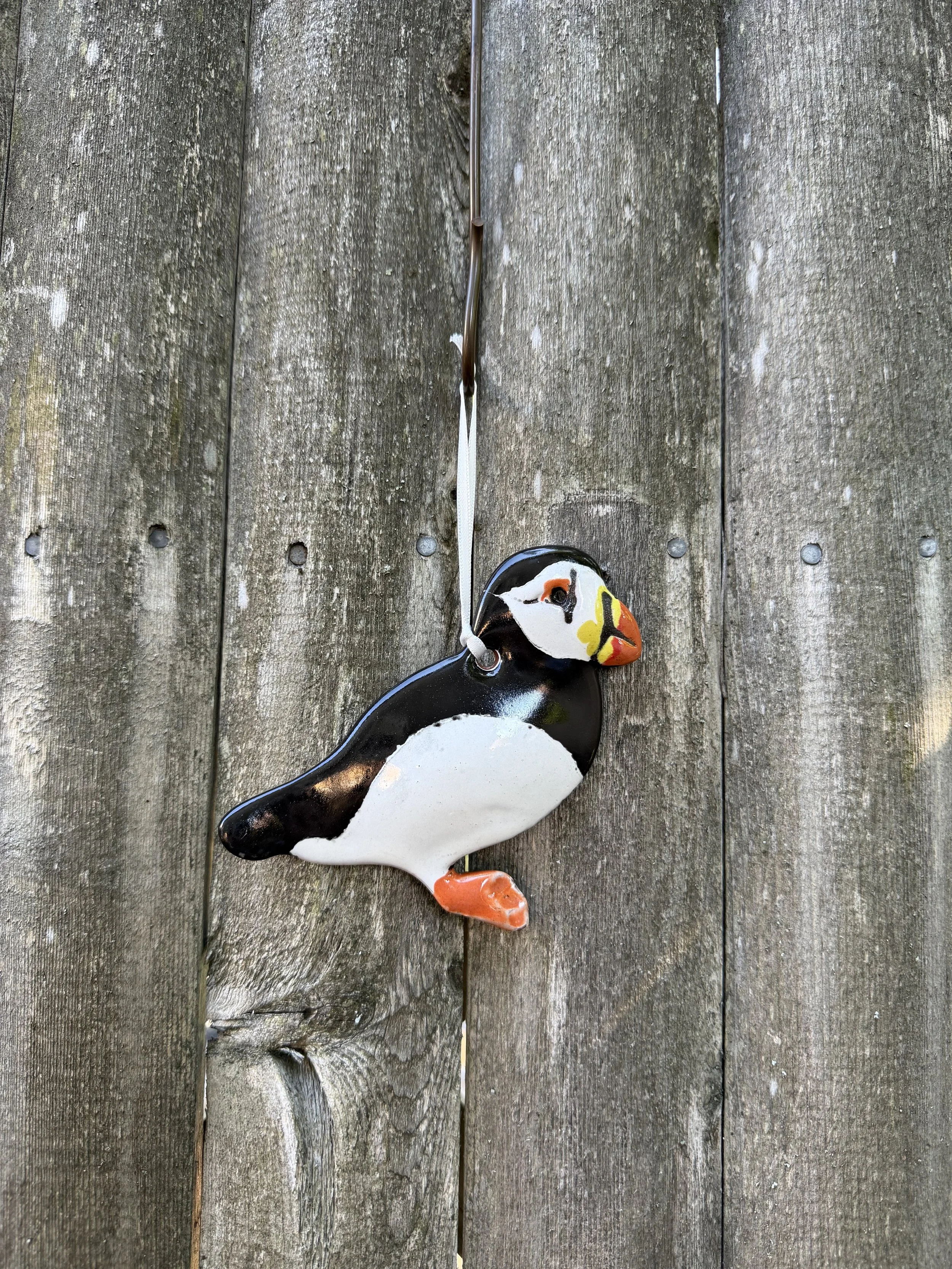 puffin .jpeg