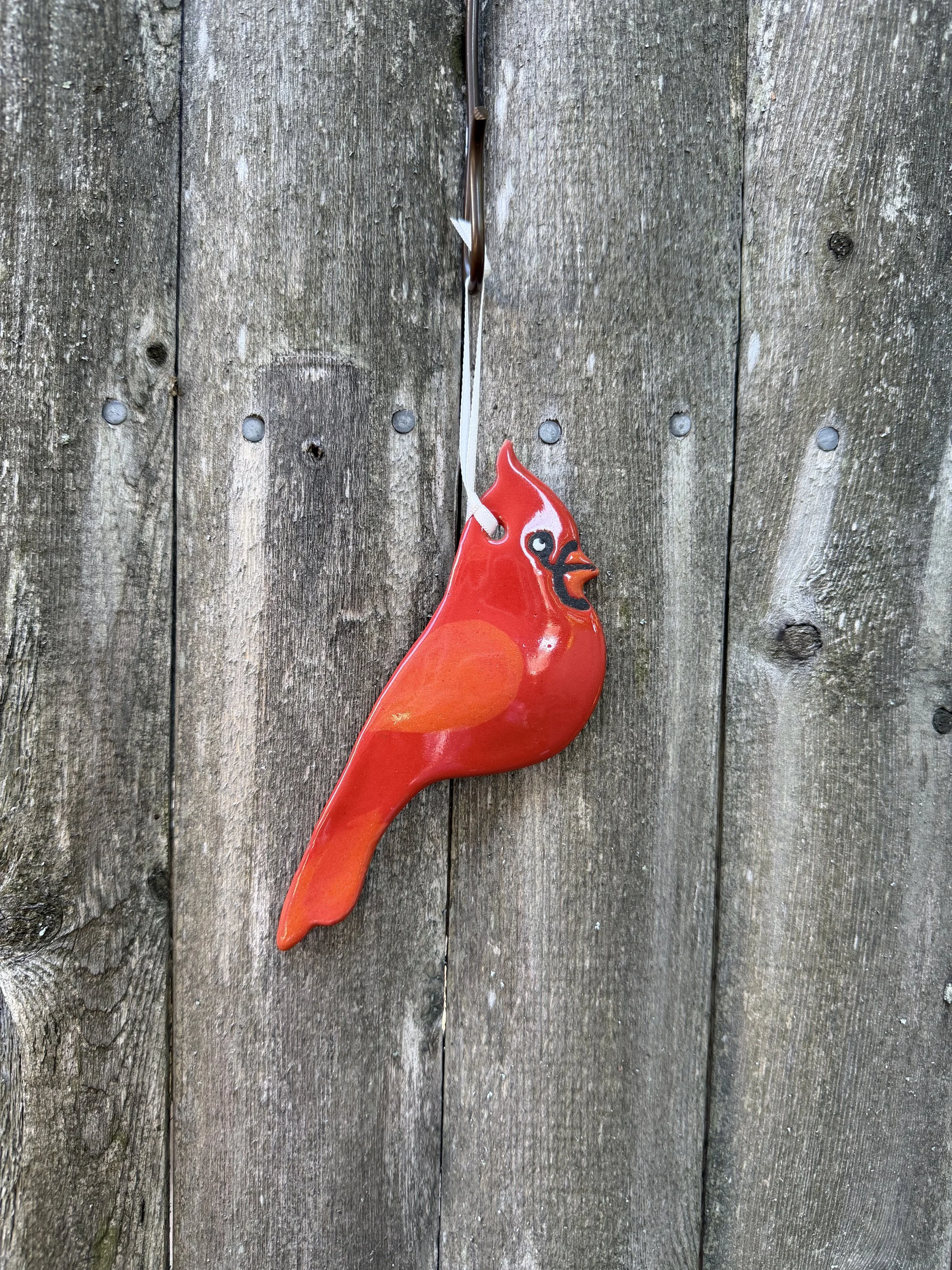 cardinal .jpeg