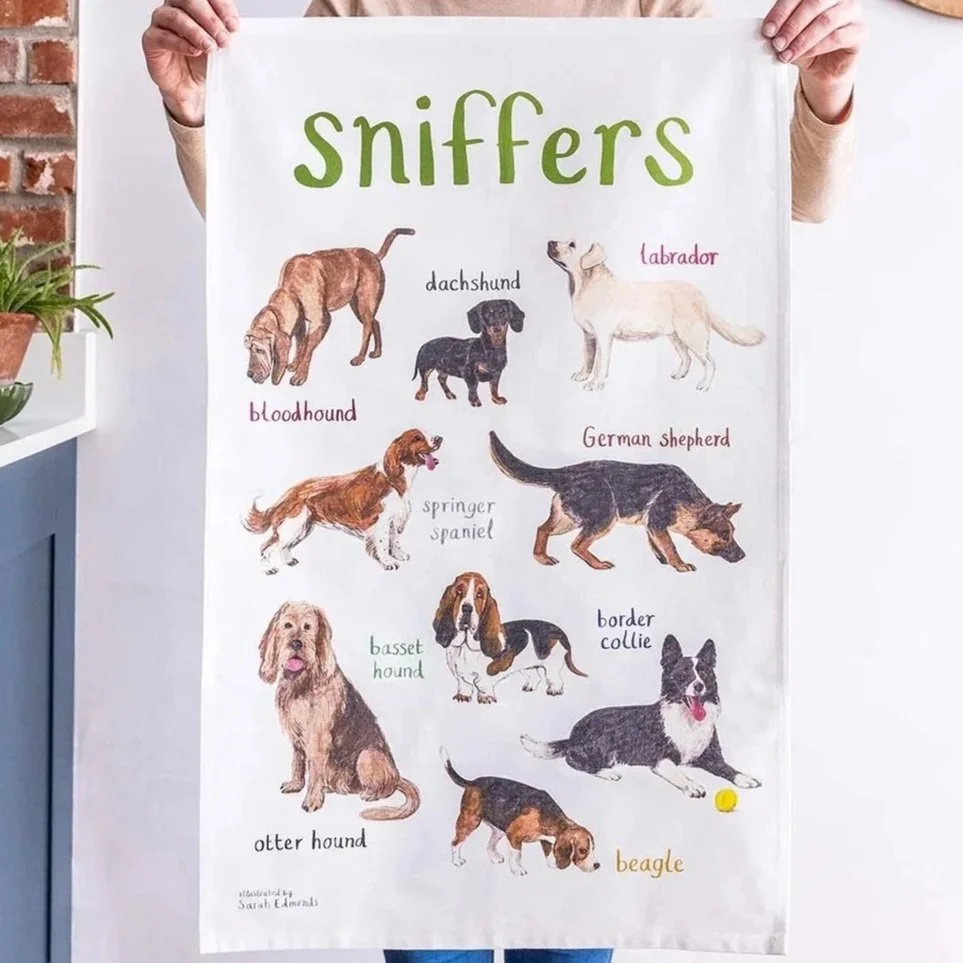 Sniffers-Teatowel-Hanging-Sarah-Edmonds-2.jpg