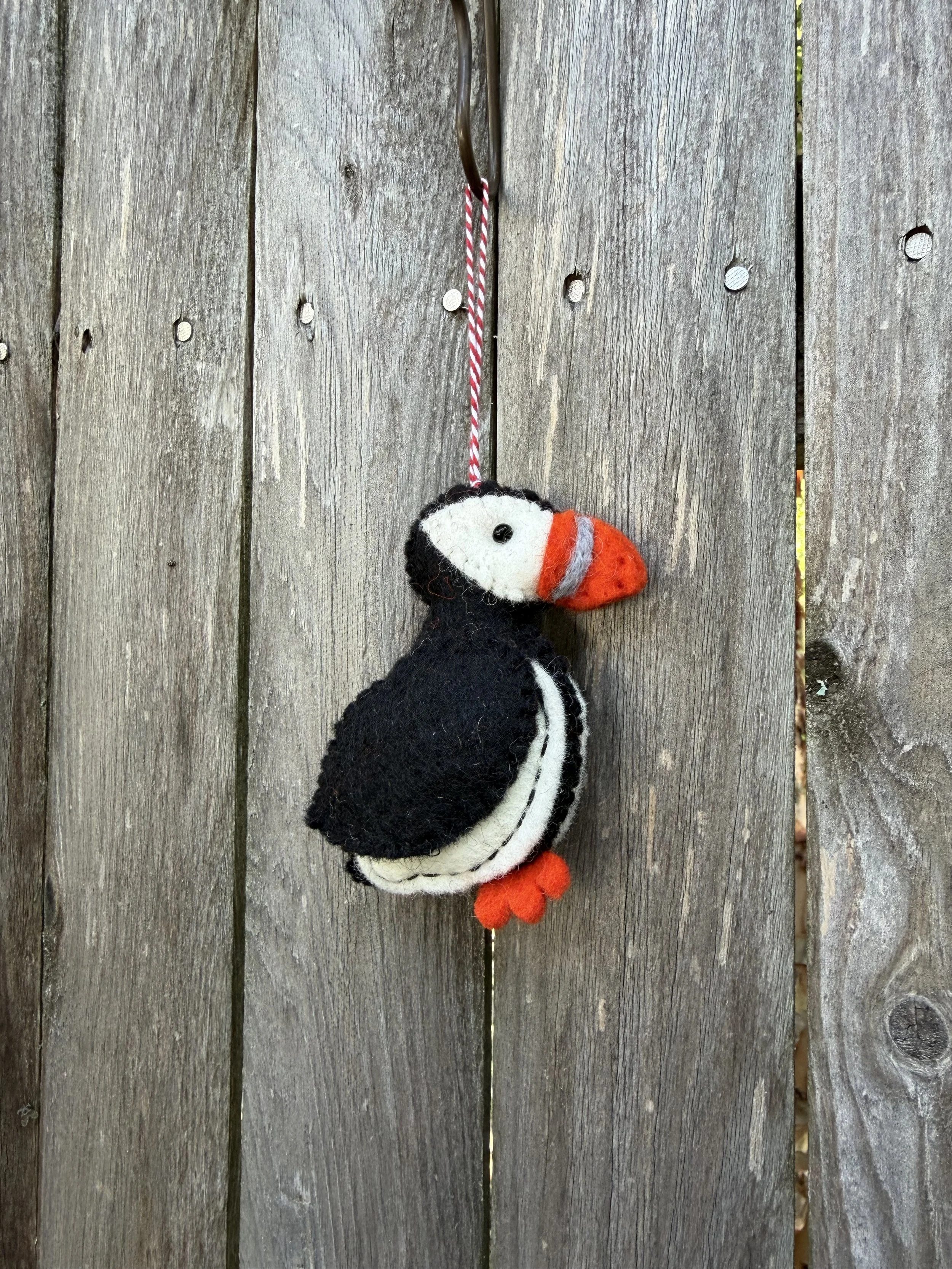 puffin .jpeg