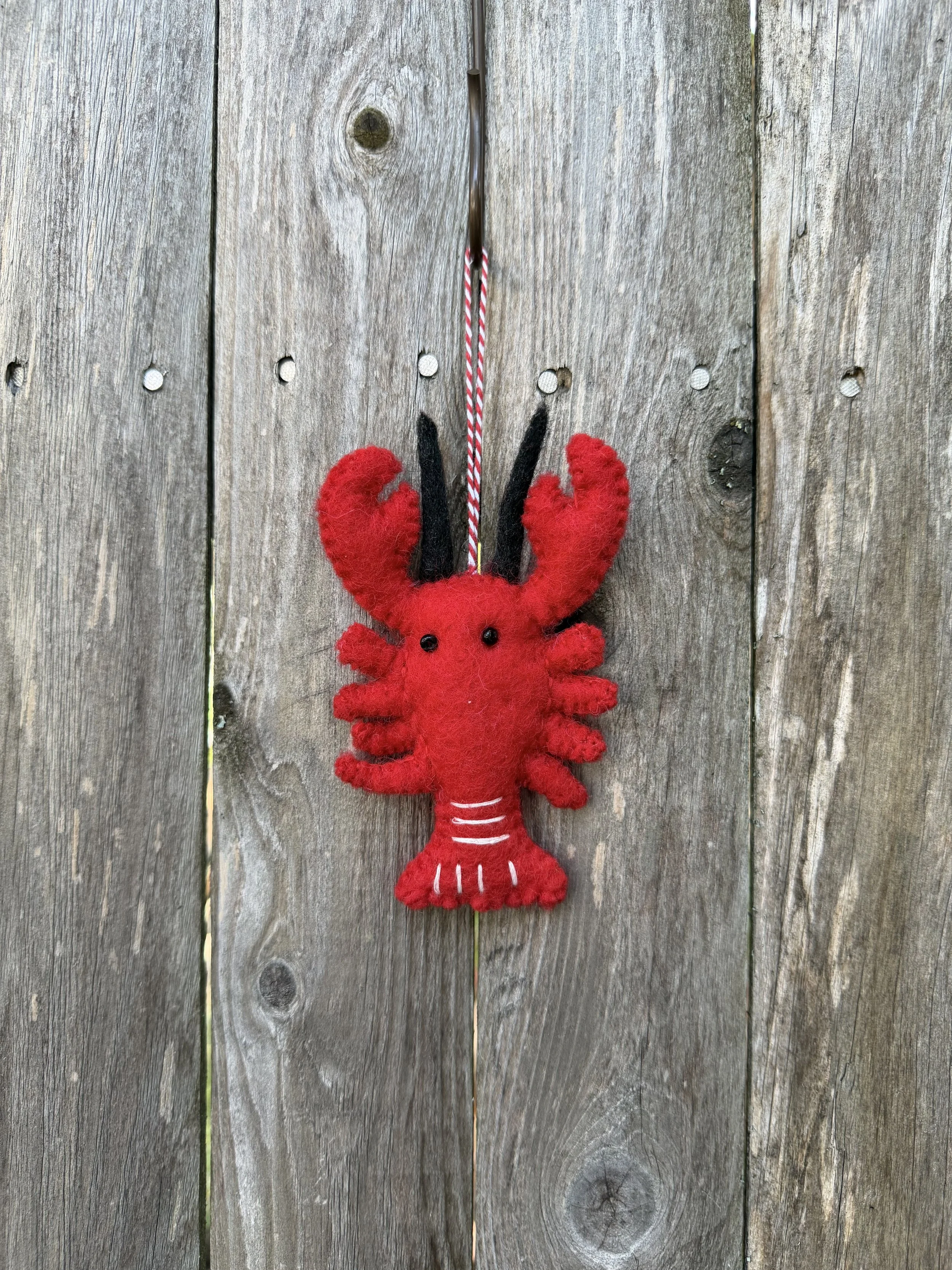 lobster .jpeg