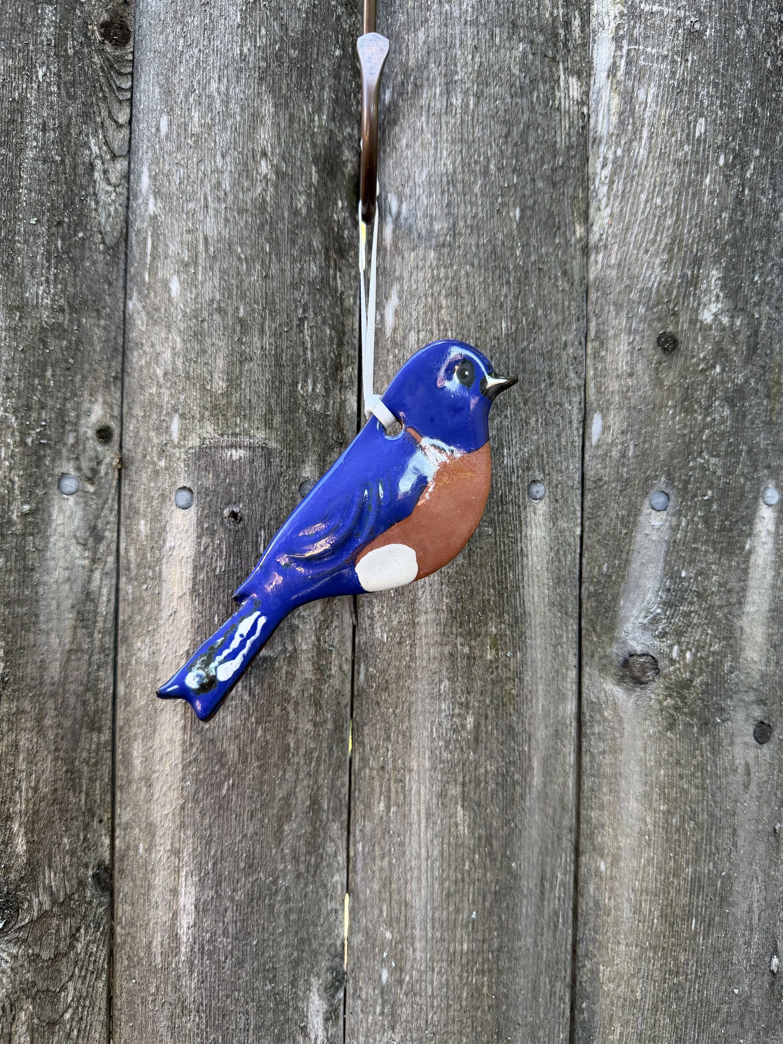 bluebird.jpeg