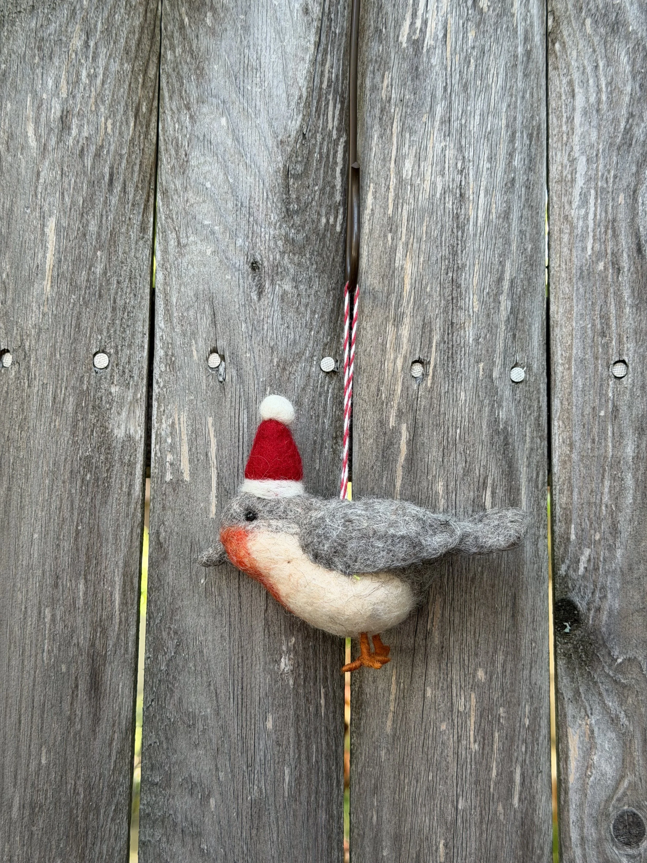bird in santa hat.jpeg