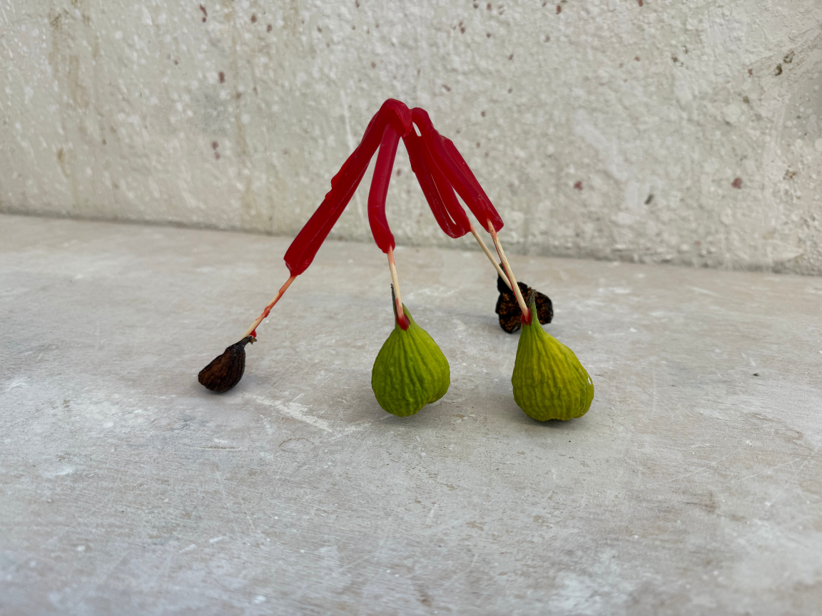 BTS (Studio Shot - Figs), 2024