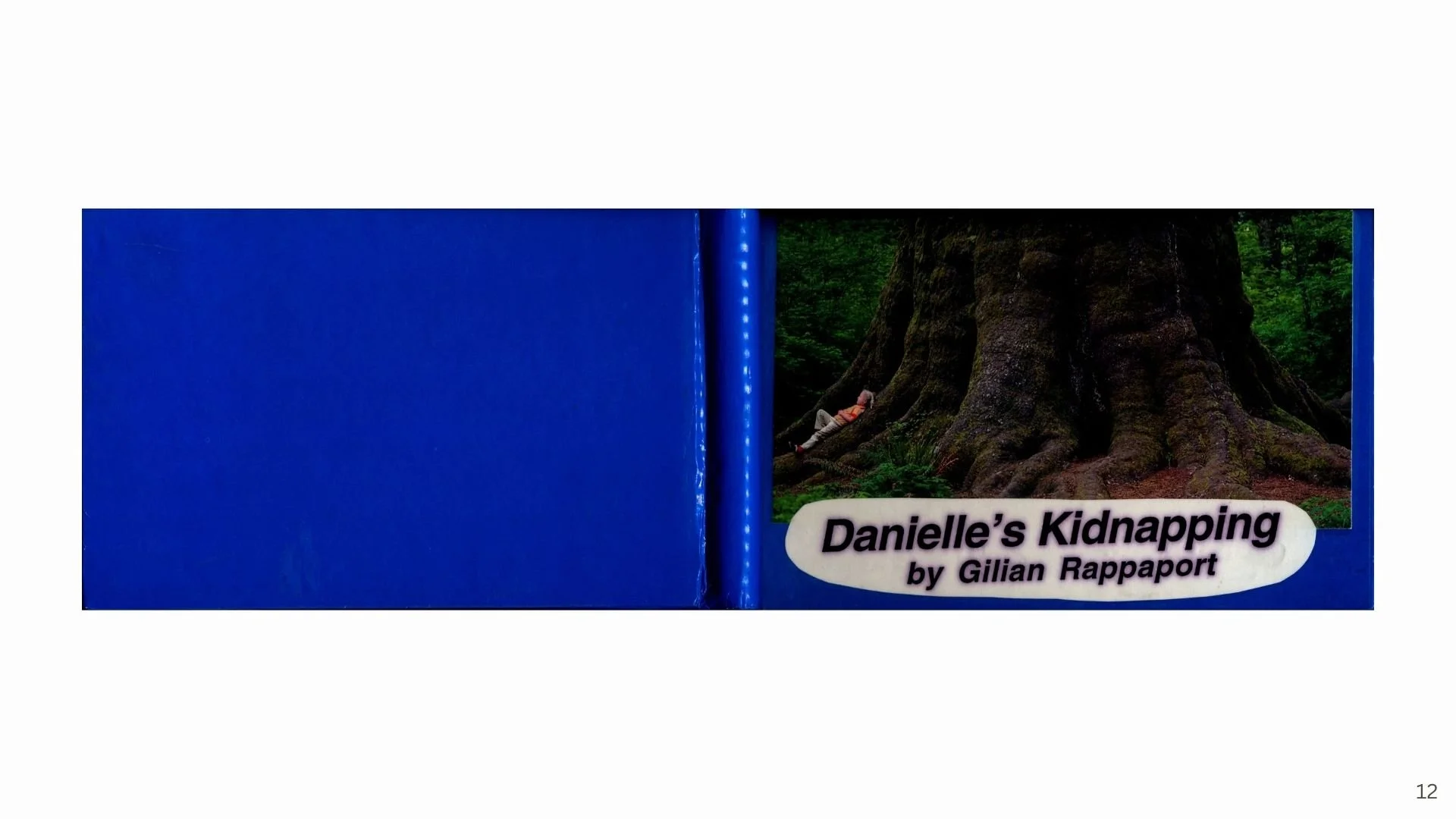 DANIELLE'S KIDNAPPING