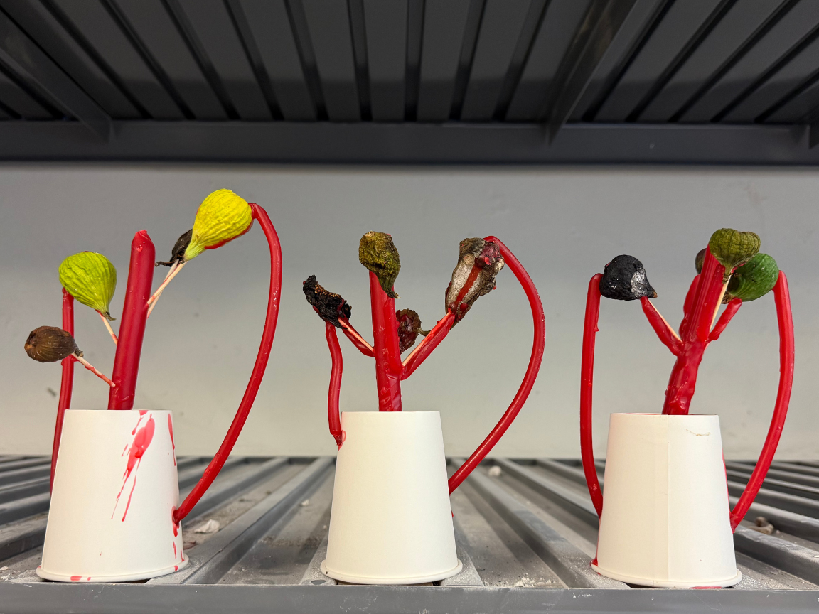 BTS (Studio Shot - Figs), 2024