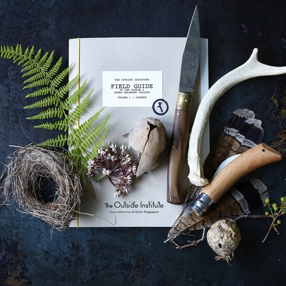 Field Guide To The Northeast