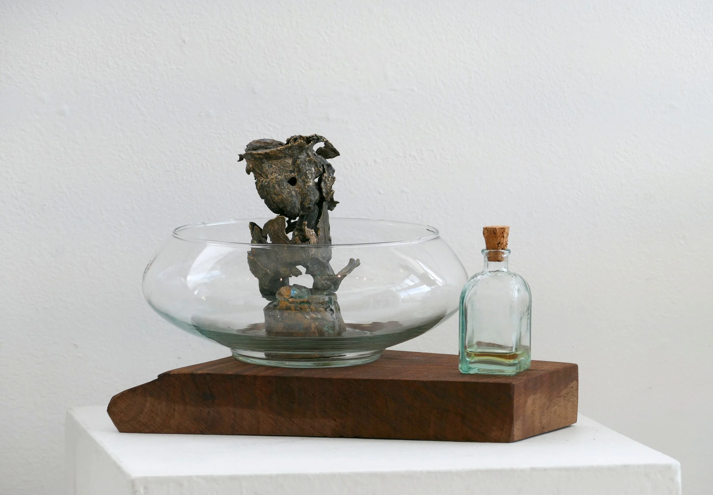 The Shape of What's Left Behind @ Umpqua Valley Arts, Chehalem Cultural Center, Pendleton Center for