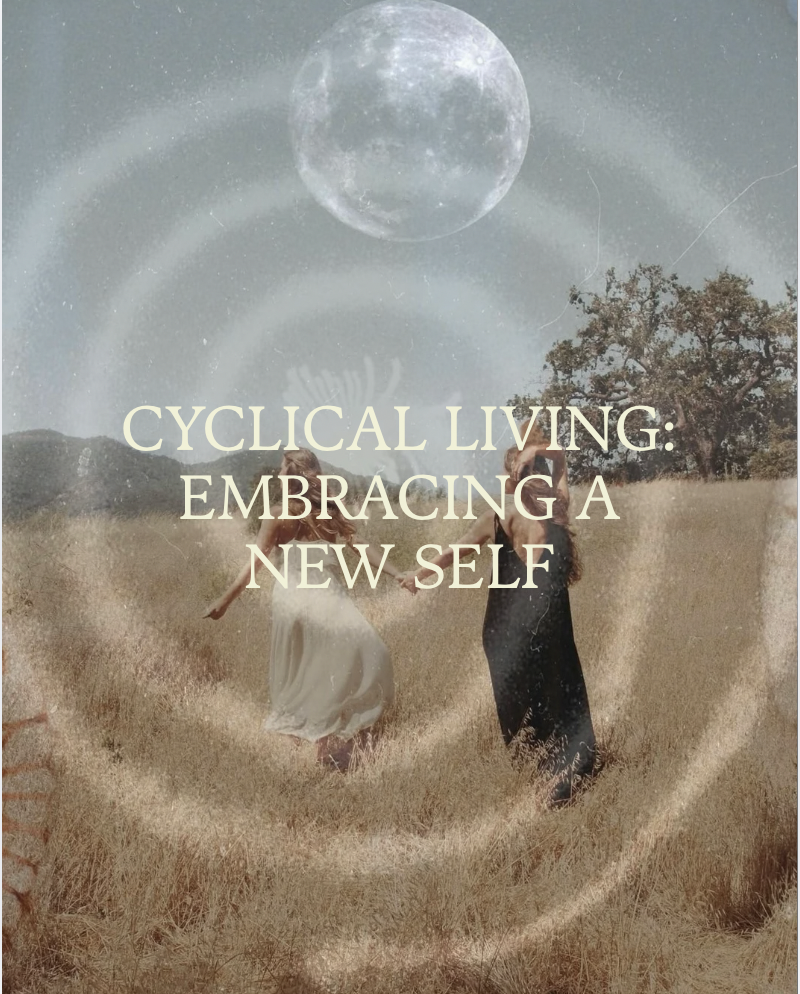 NEW WORKSHOP SERIES "Cyclical living: embracing a new self"