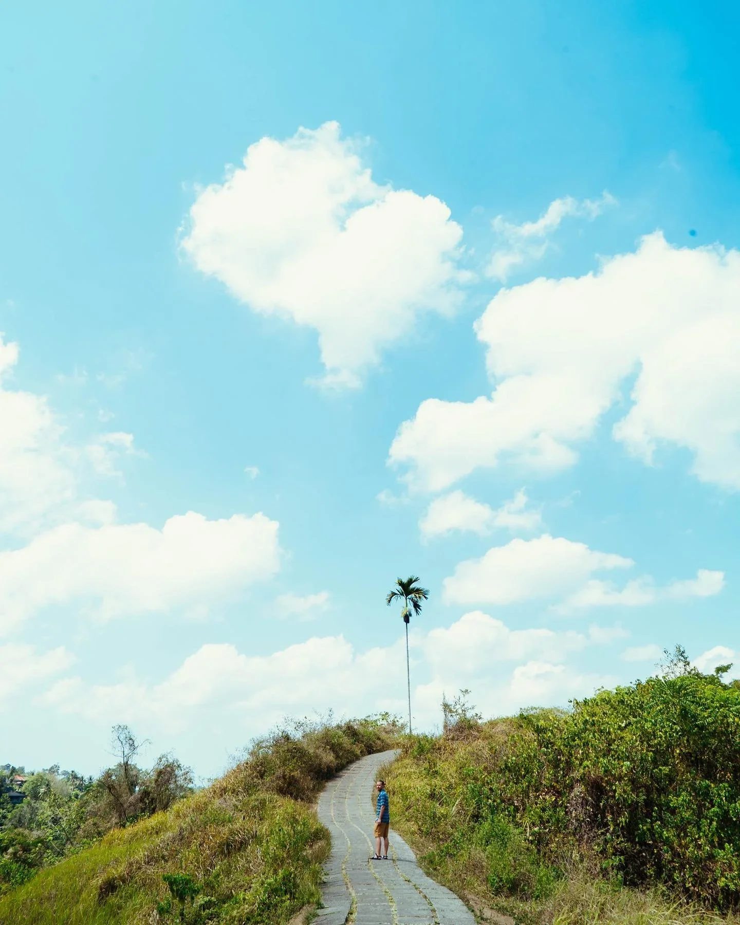 A person standing on a winding path on a grassy hill, with a single tall palm tree in the distance under a bright blue sky with scattered white clouds.