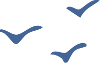 Icon of three birds flying