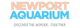 Newport Aquarium