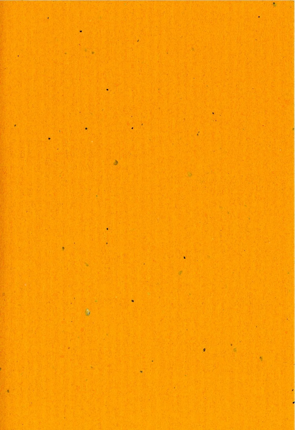 p27.jpg