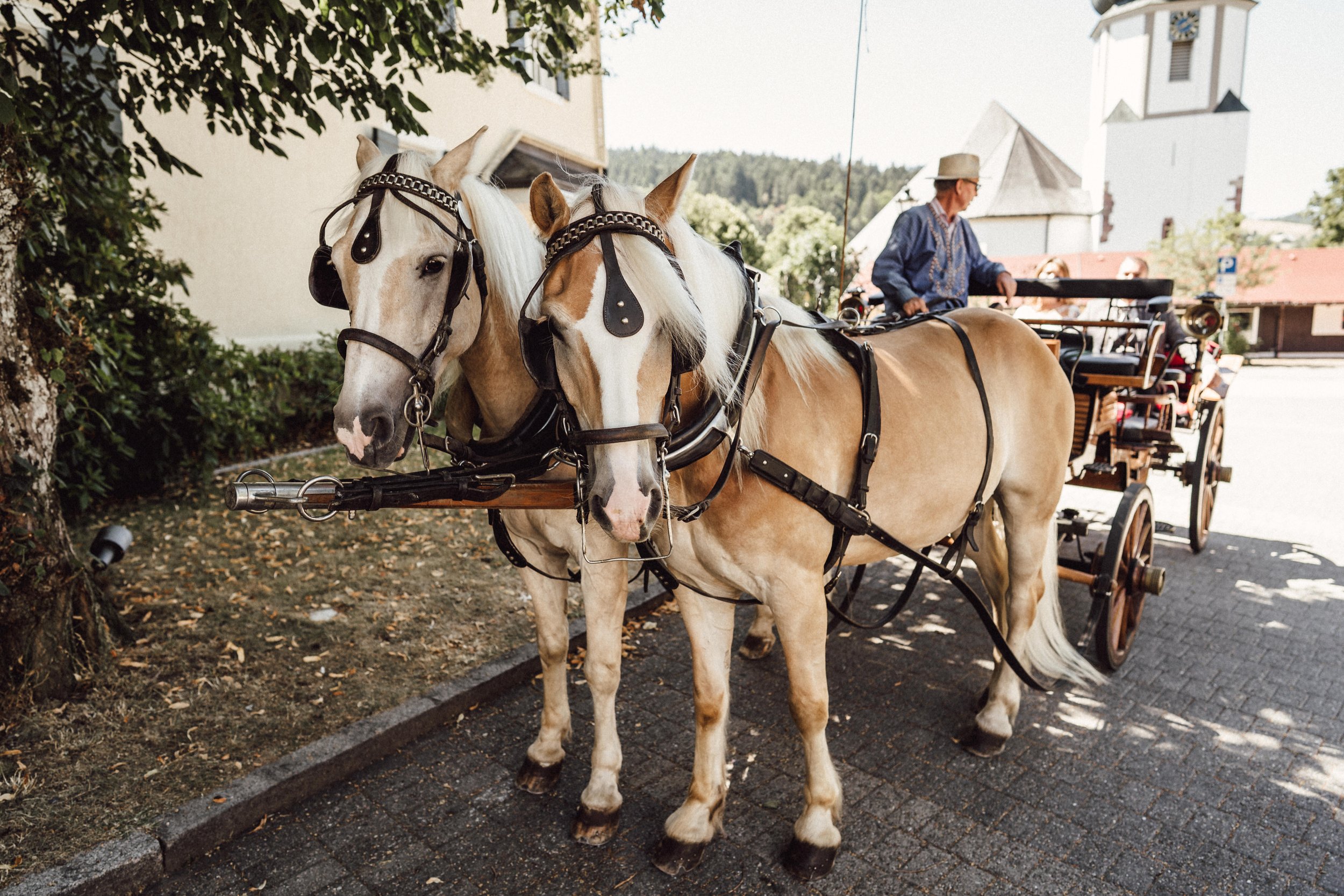 Haflinger Pferde vor Kutsche mit Kutscher und Brautpaar vor der Kirche by UhlArt Fotografie