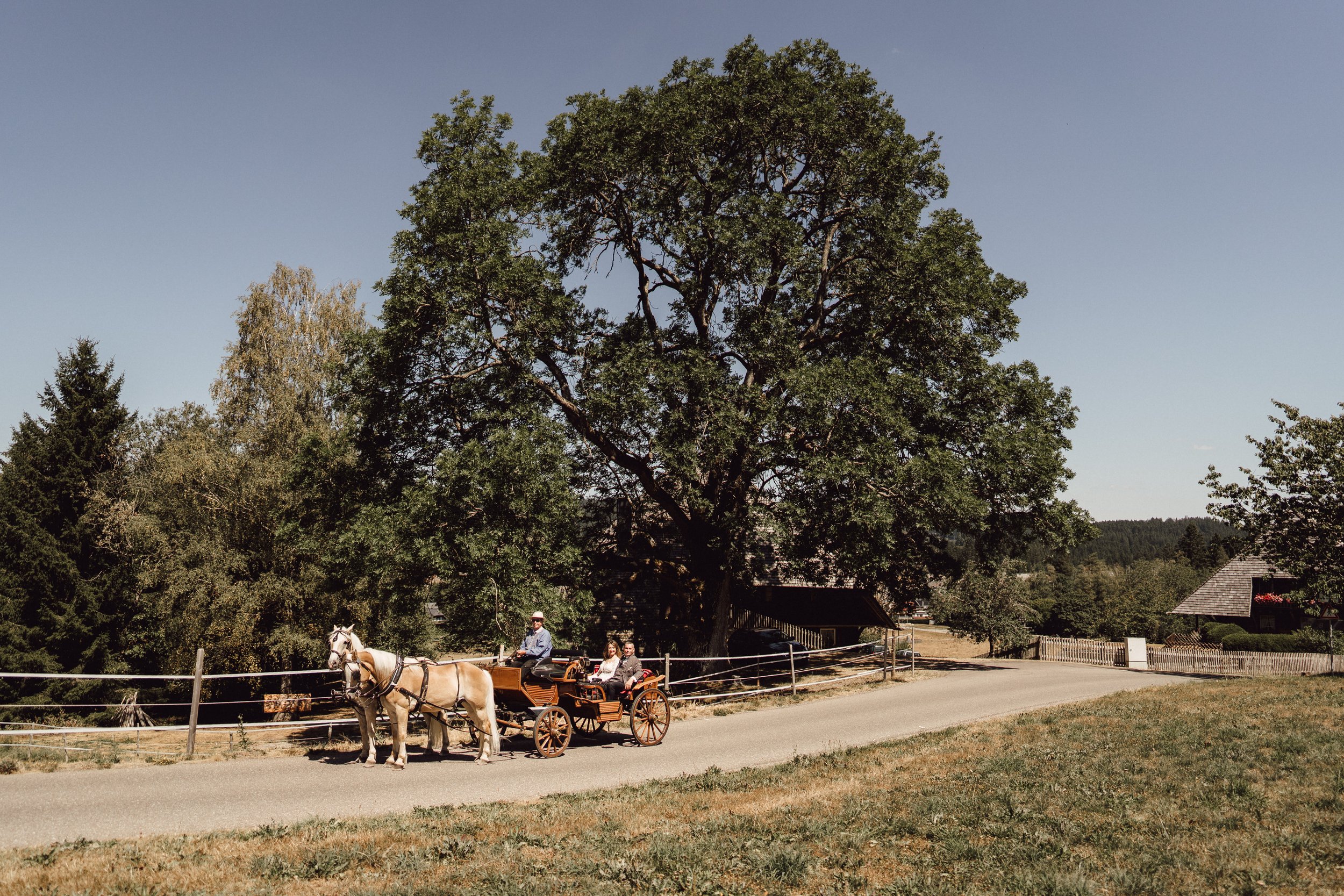 Kutsche mit Brautpaar fährt am Feld vorbei by UhlArt Fotografie