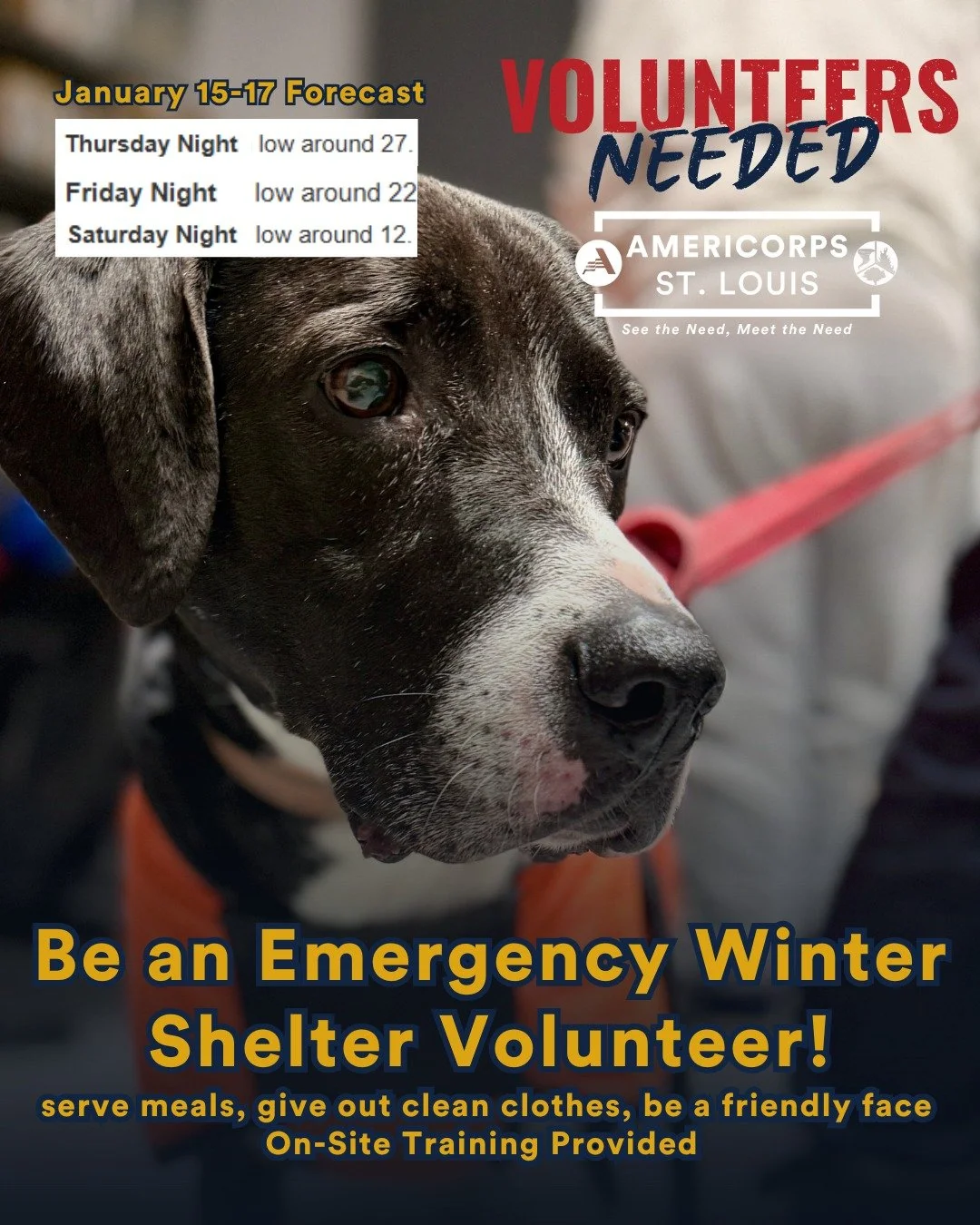 Winter Shelter Volunteers Needed: January 15-17 ❄️

Later this week, overnight temperatures will drop into the low 20s and teens, bringing us three potential nights of shelter activations. Help us prepare by signing up for a shift in advance, and you