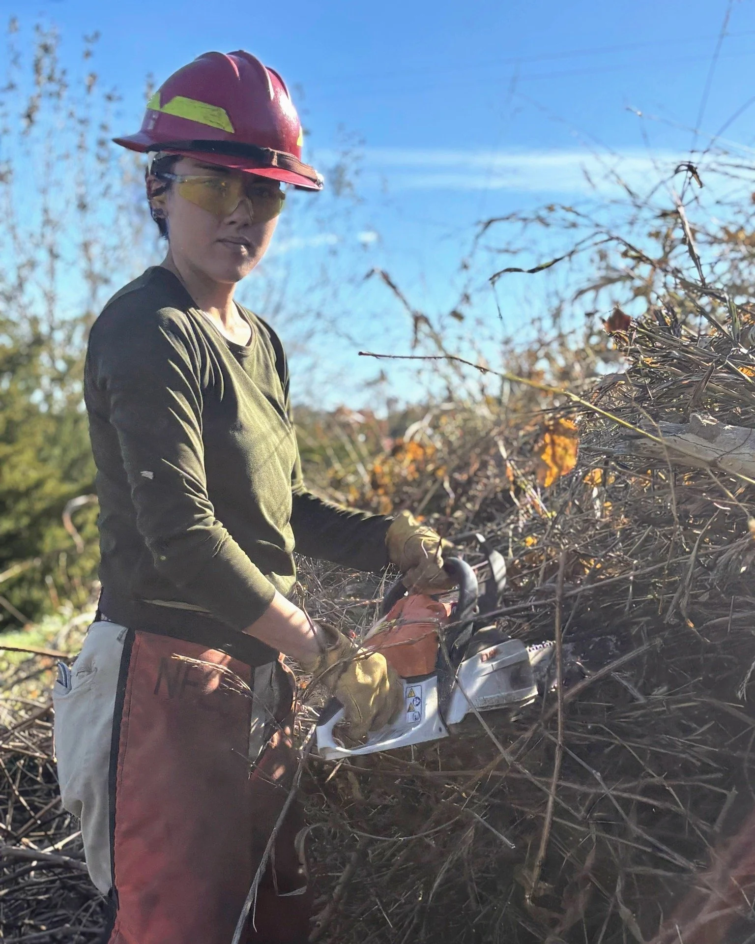 Service snapshot from last month's project with Bellefontaine Cemetery &amp; Arboretum. The team spent time removing invasive species like wintercreeper and removing hazard trees, guided by BCA Horticulturalist &amp; ACSTL alum Andy Clubb. 

At Belle