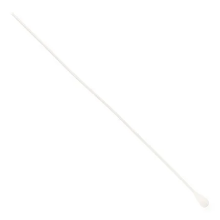 1005792.jpg