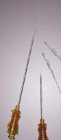 688431.jpg