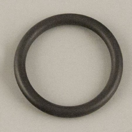 935443.jpg