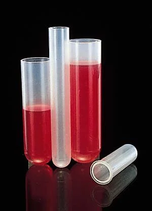 FSHSCI_445274.jpg
