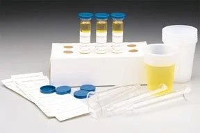 FSHSCI_554141.jpg