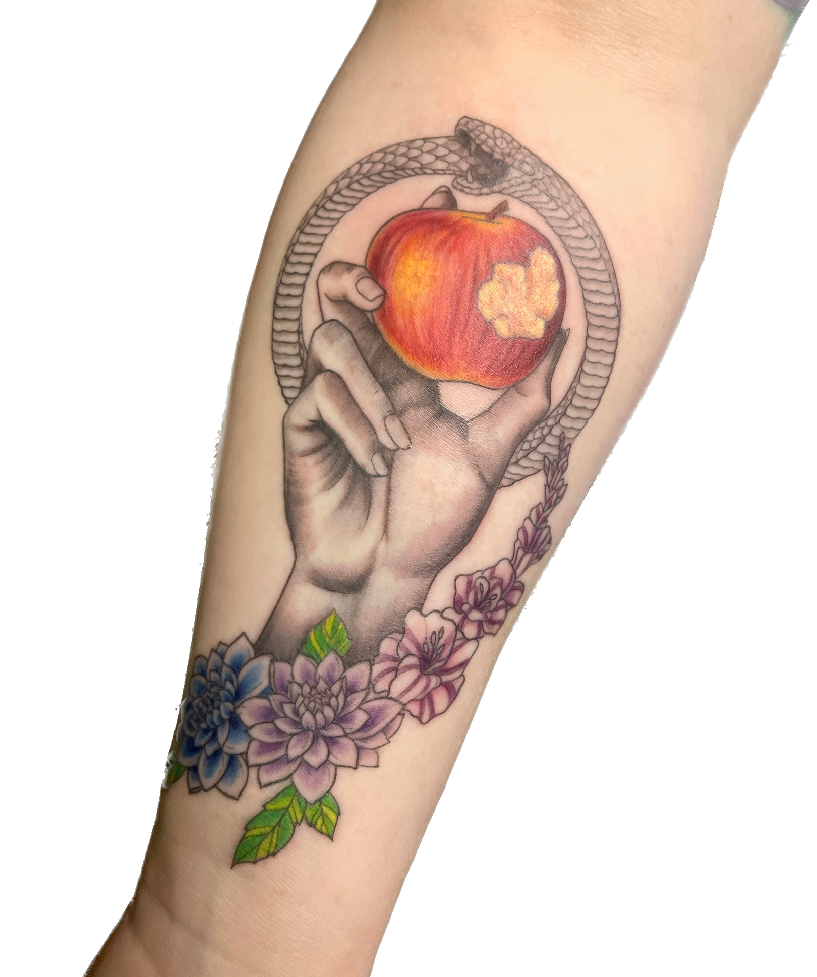 IMG_9093 Background Removed.png