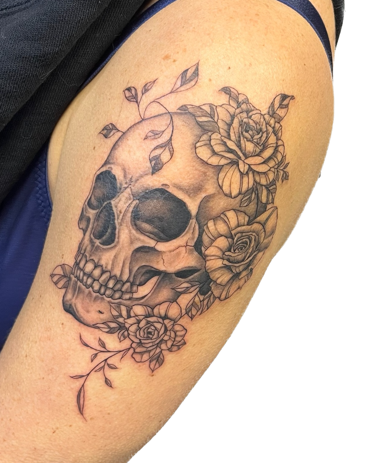 IMG_6272 Background Removed.png