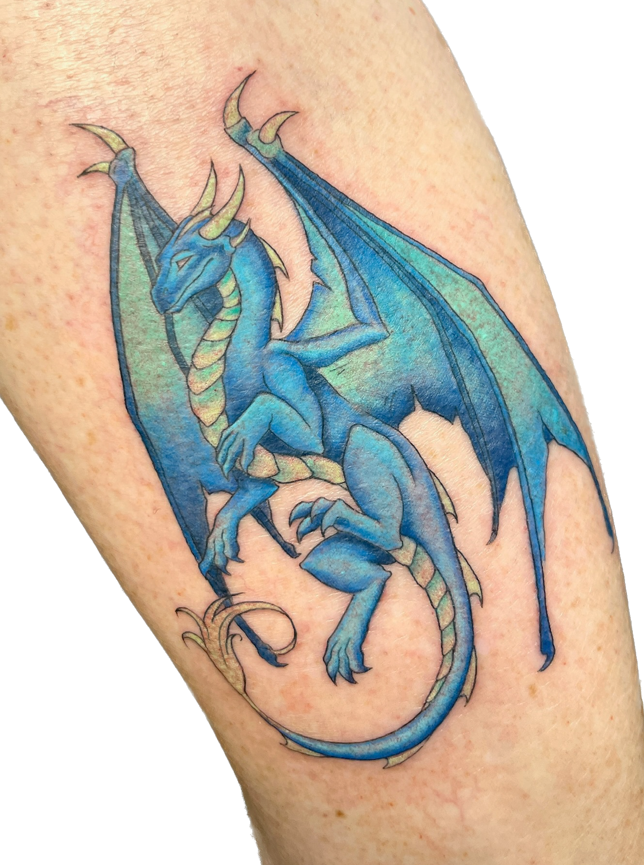 IMG_8594 Background Removed.png