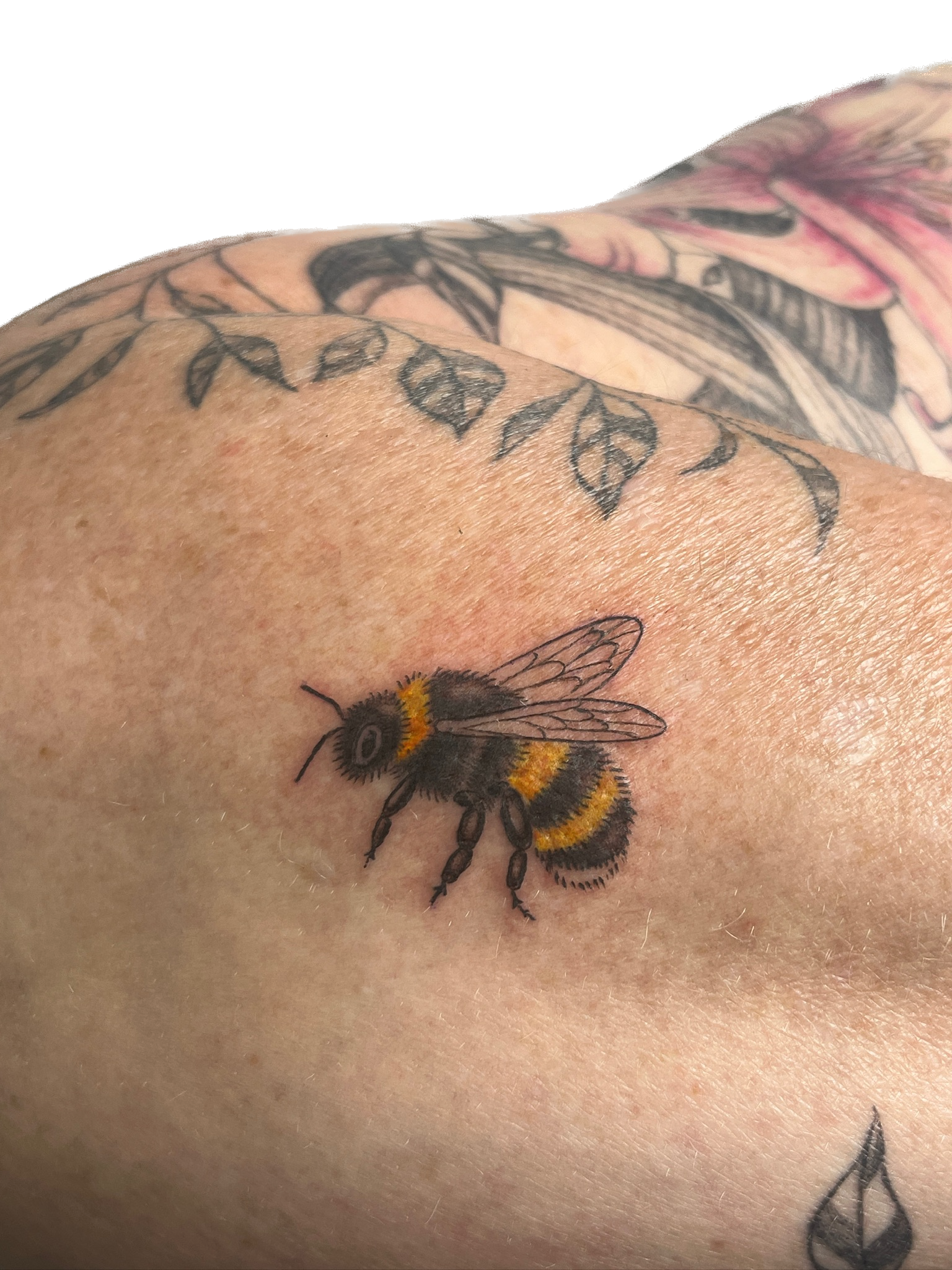 IMG_7856 Background Removed.png