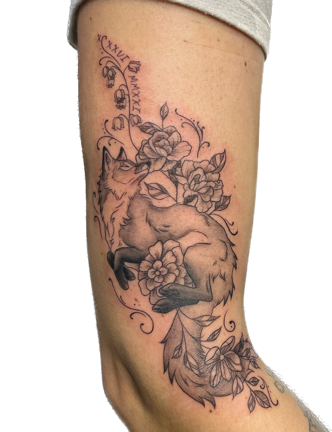 IMG_6134 Background Removed.png