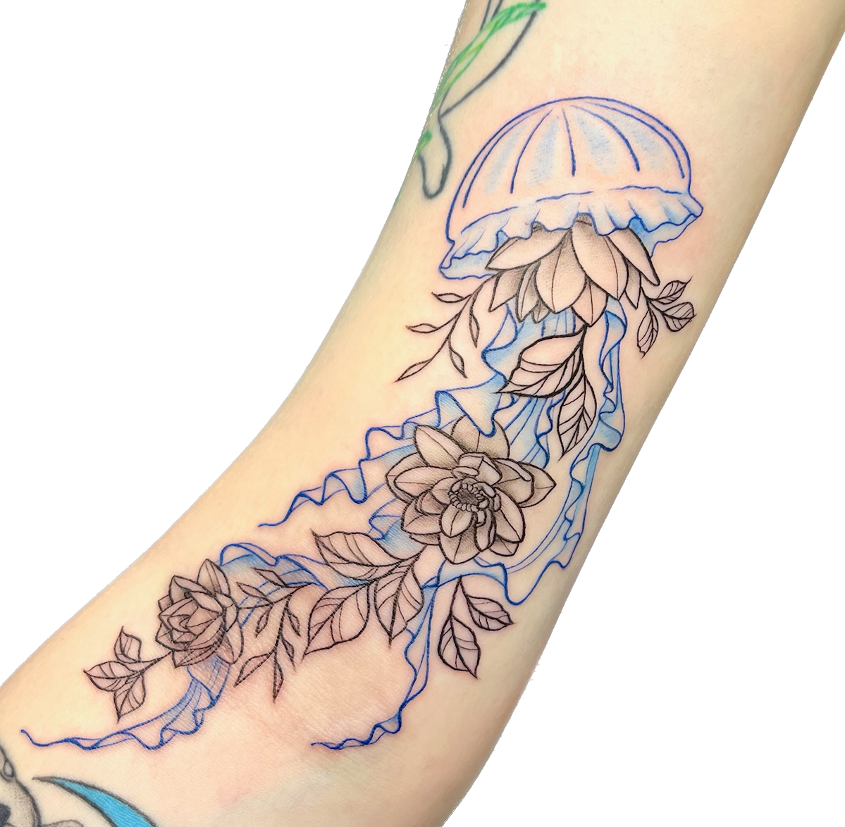 IMG_6471 Background Removed.png