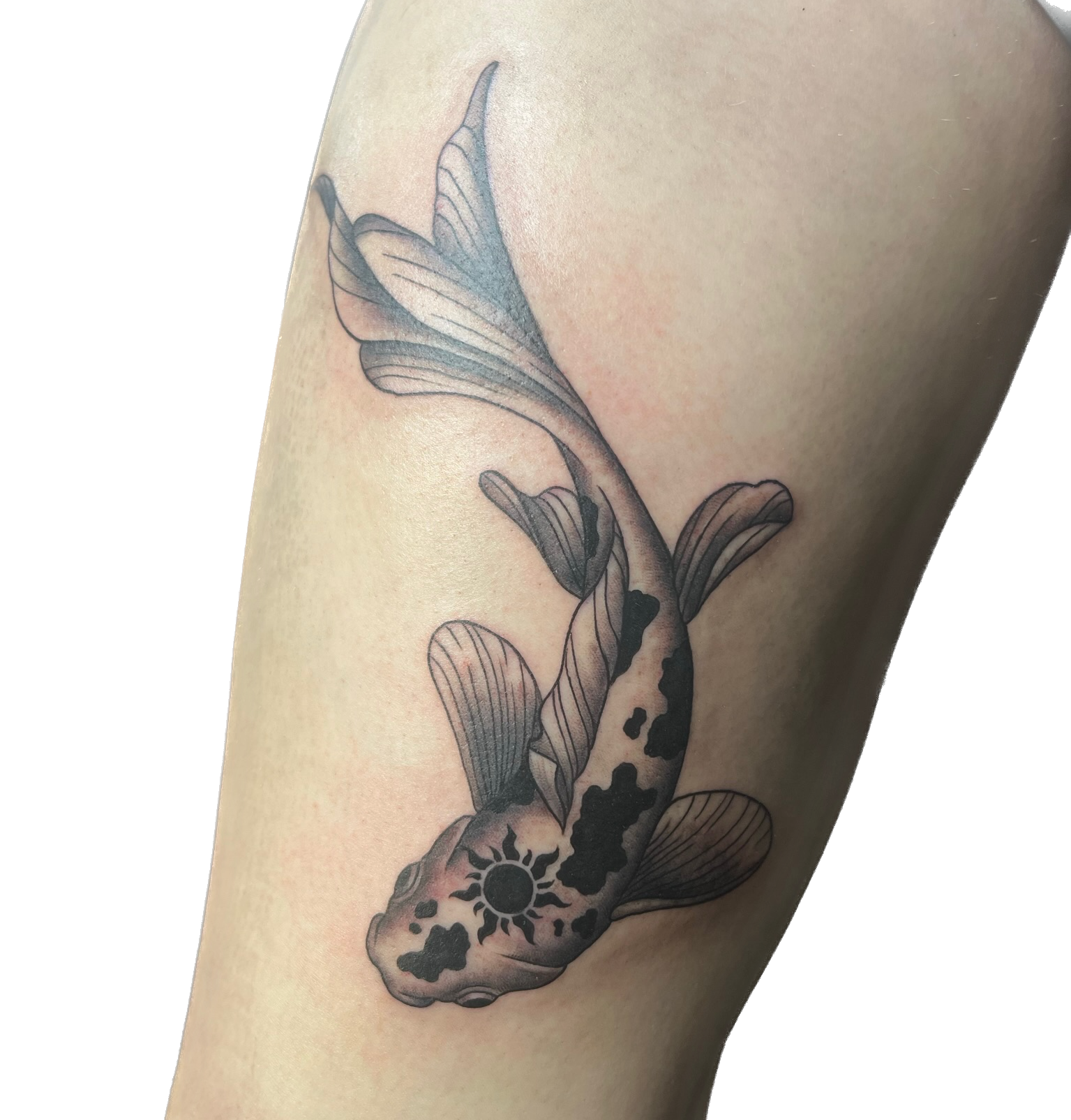 IMG_7826 Background Removed.png