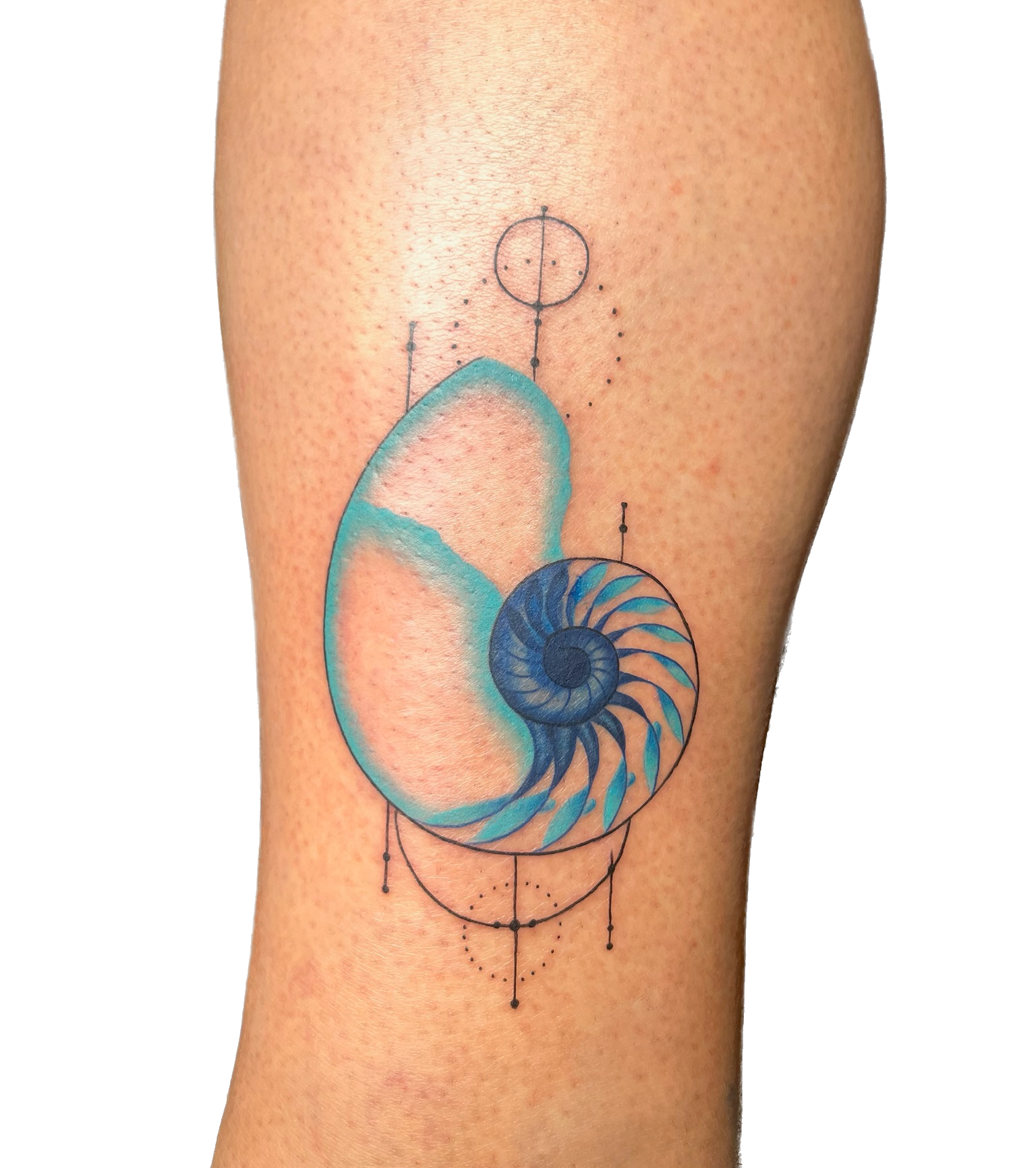 IMG_1921 Background Removed.png