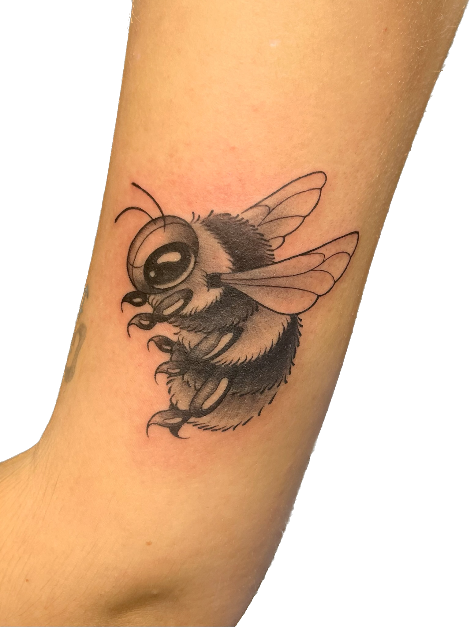 IMG_3329 Background Removed.png