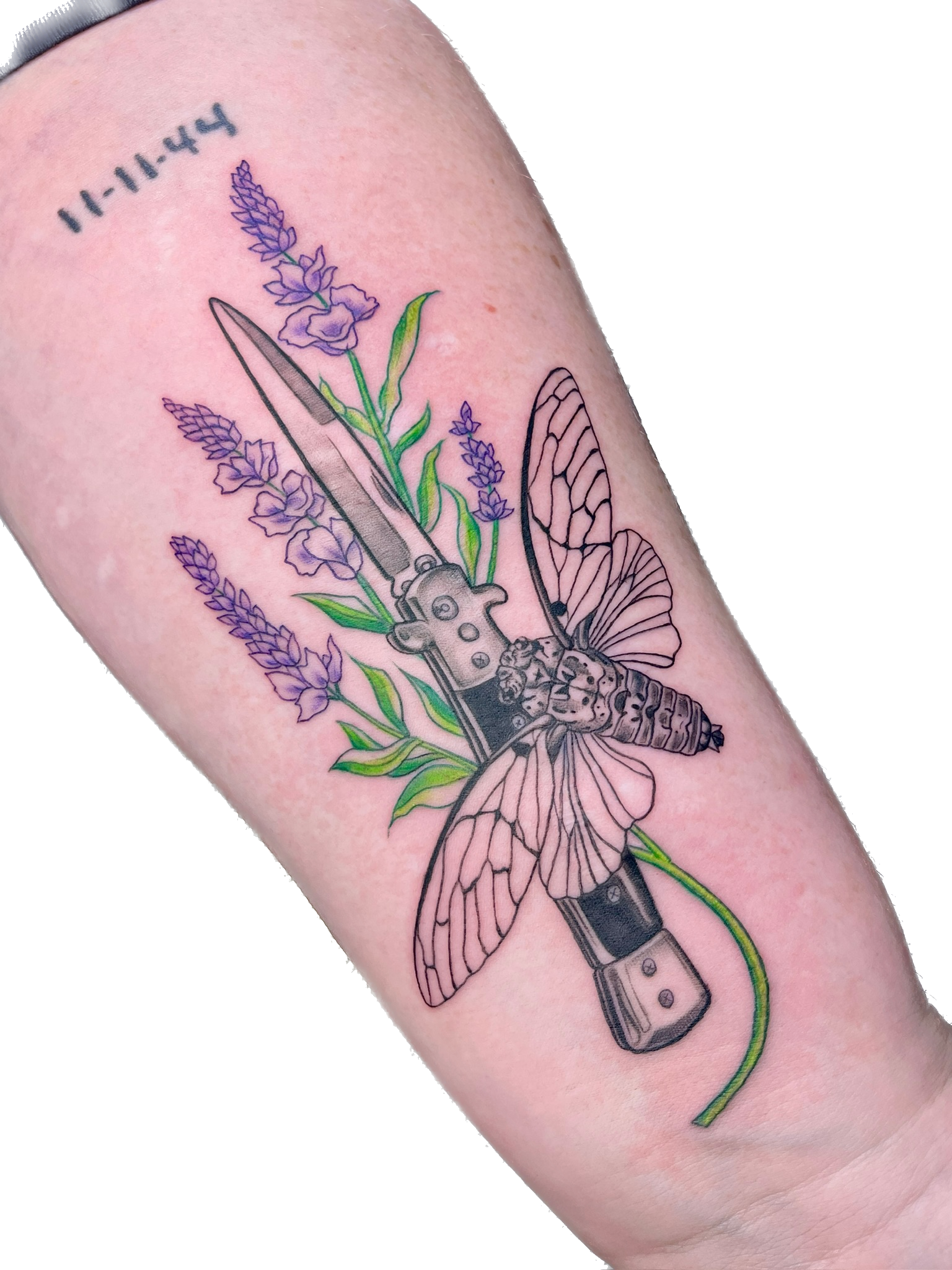 IMG_9503 Background Removed.png