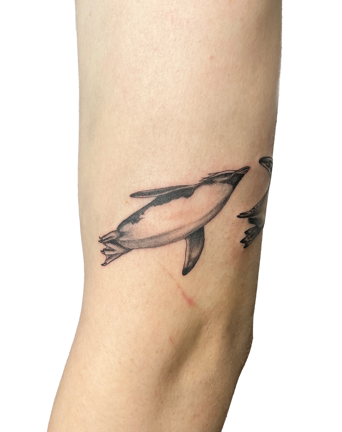 IMG_8311 Background Removed.png